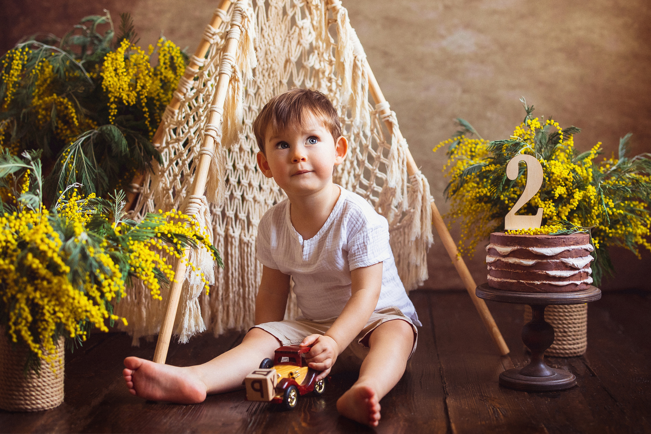 Мимоза, Фотостудия «АНТУРАЖ». Семейный и детский фотограф в Краснодаре Анна Трашкова