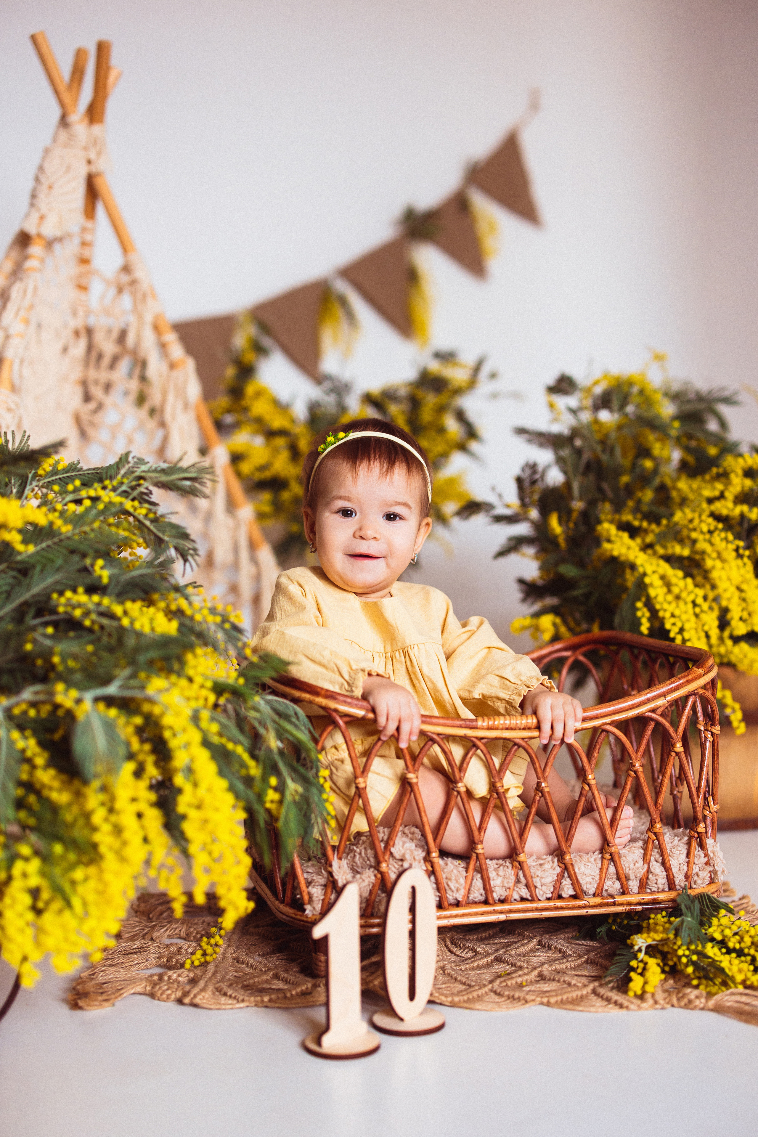 Мимоза, Фотостудия «АНТУРАЖ». Семейный и детский фотограф в Краснодаре Анна Трашкова