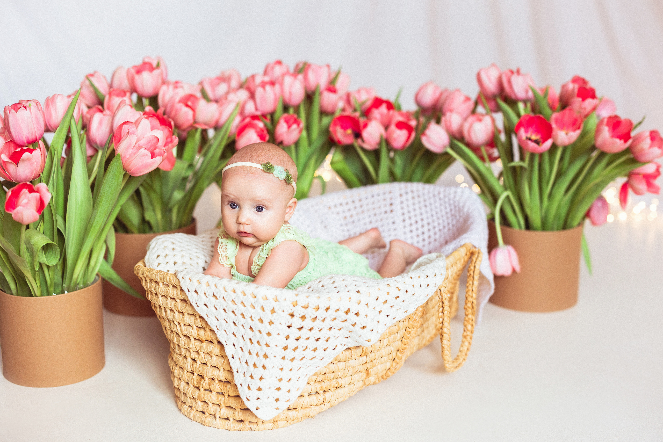 Тюльпаны, Фотостудия «Антураж». Семейный и детский фотограф в Краснодаре Анна Трашкова