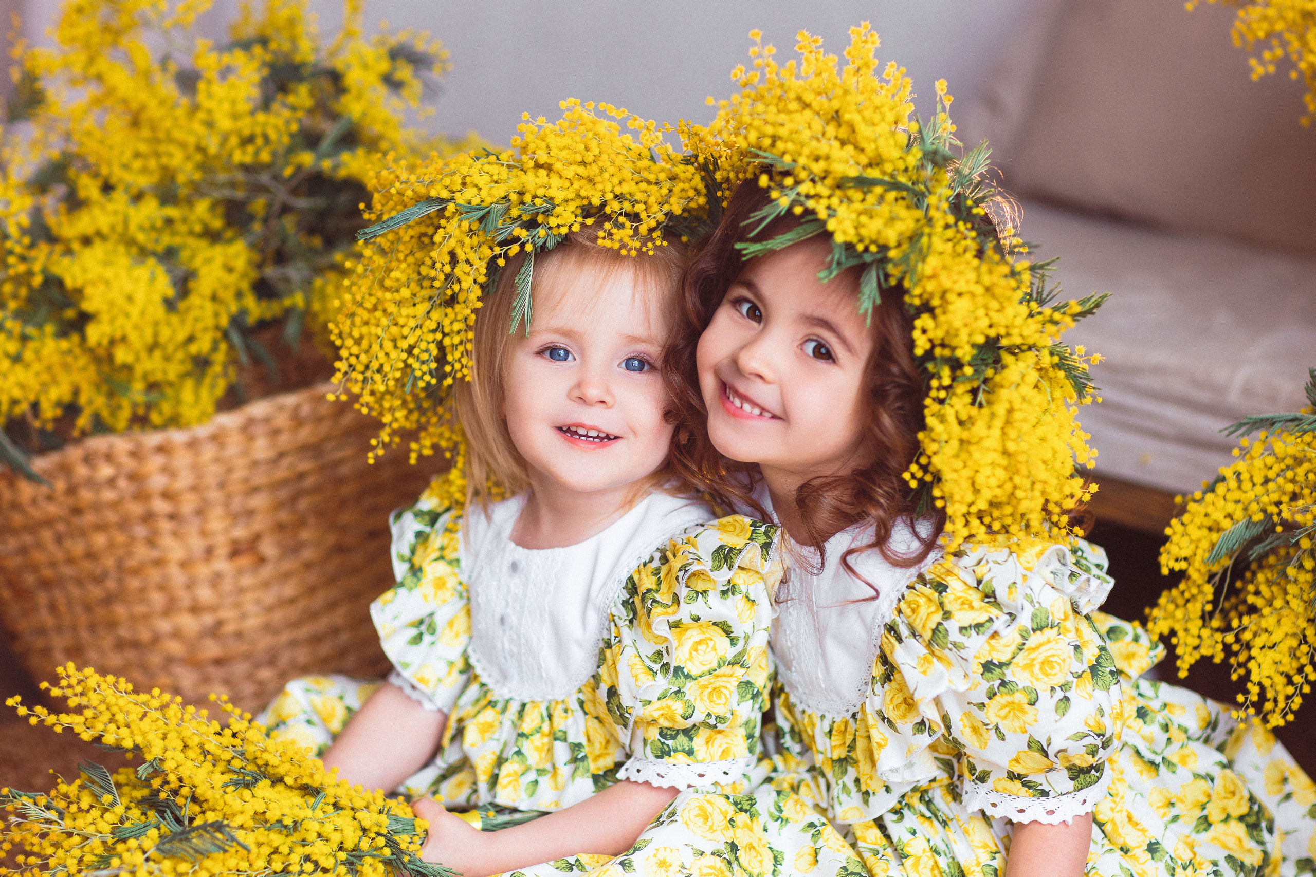 Мимоза, Фотостудия «Майя». Семейный и детский фотограф в Краснодаре Анна Трашкова
