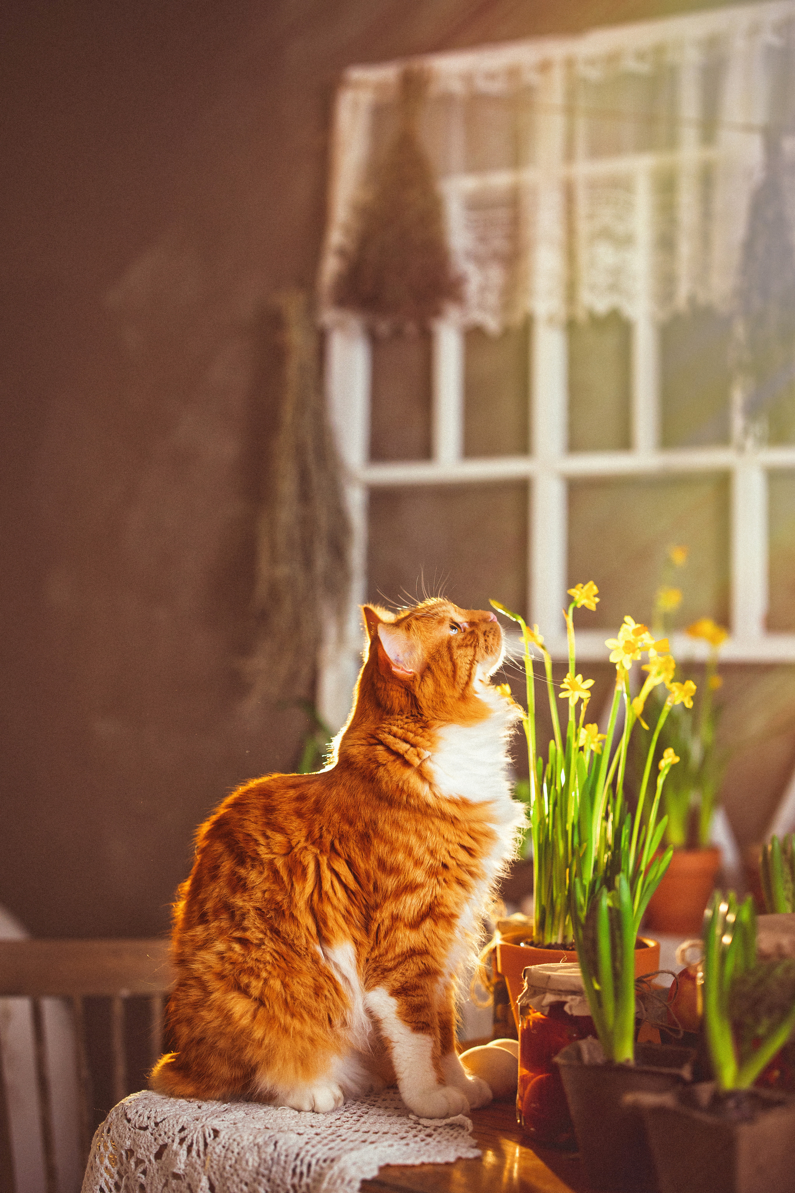 Фотостудия «Авторская», весна — лето 2023 г. Семейный и детский фотограф в Краснодаре Анна Трашкова