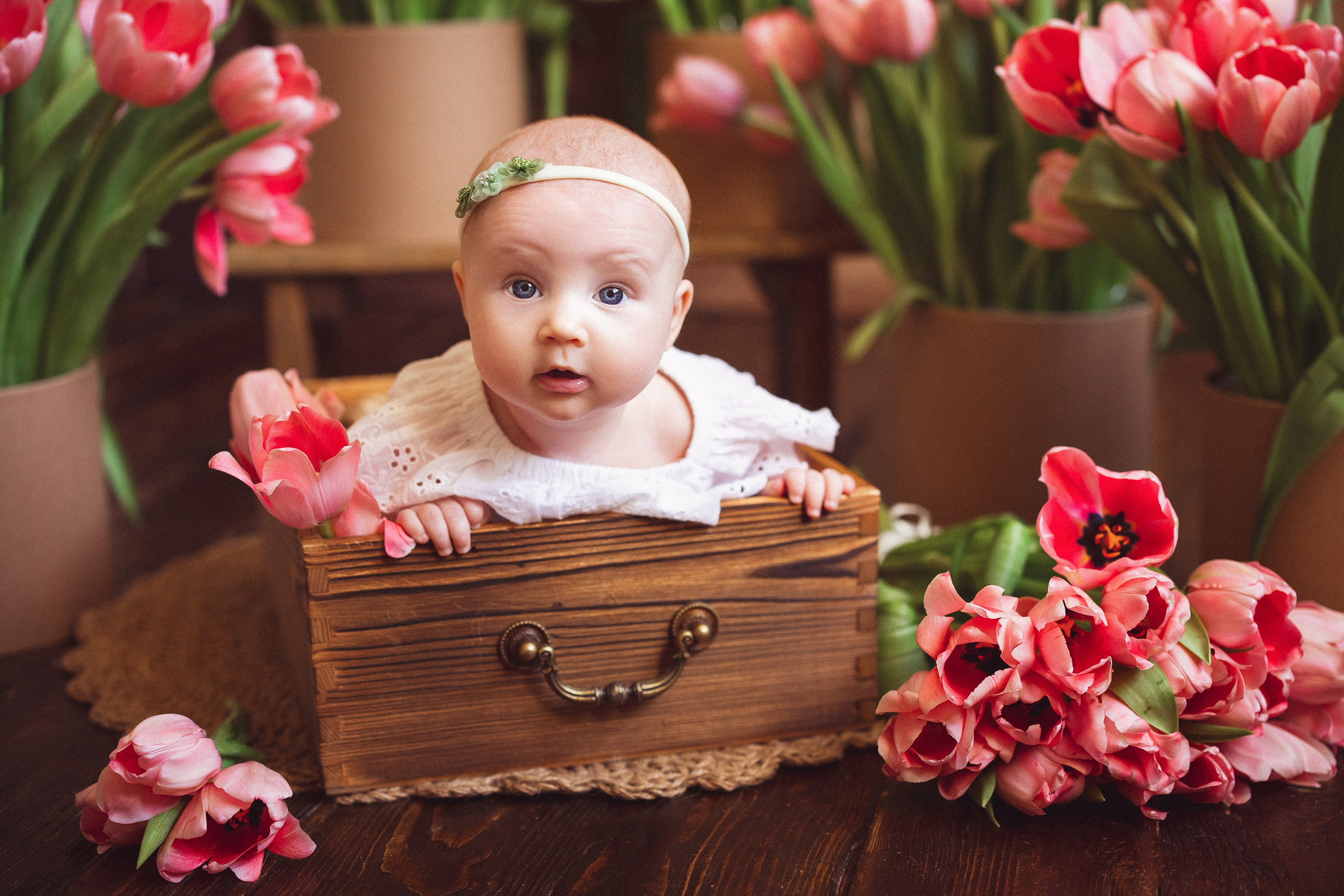 Тюльпаны, Фотостудия «Антураж». Семейный и детский фотограф в Краснодаре Анна Трашкова