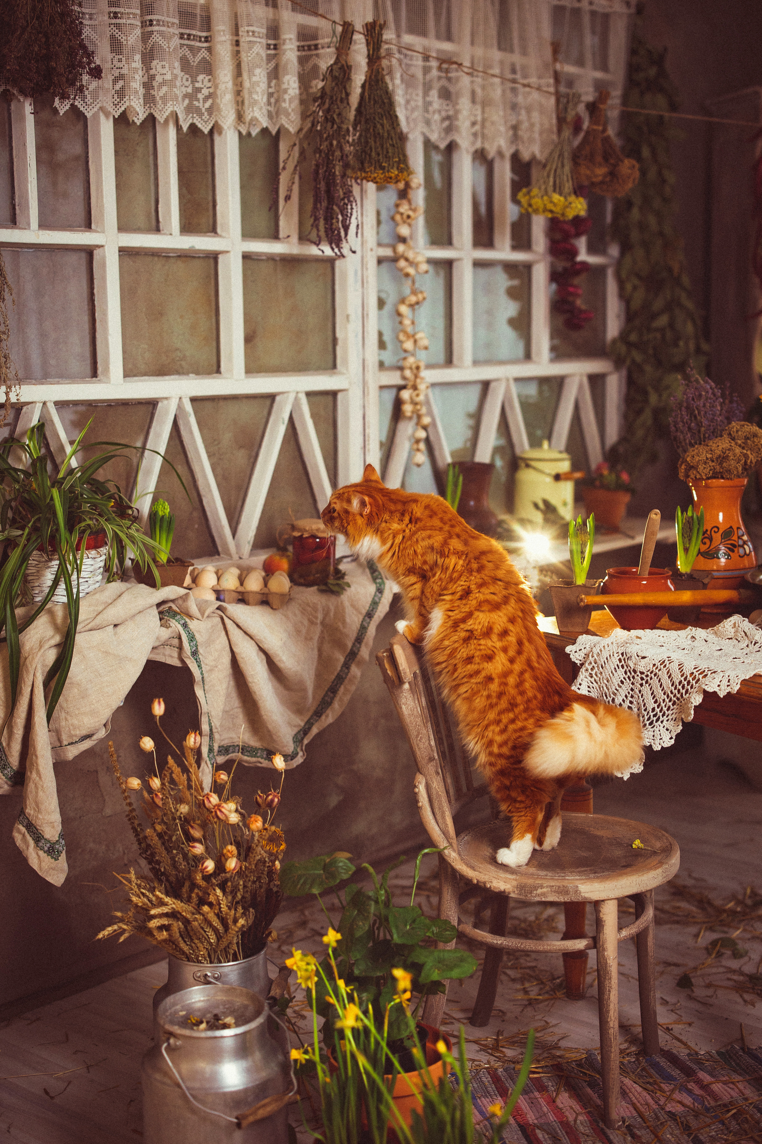 Фотостудия «Авторская», весна — лето 2023 г. Семейный и детский фотограф в Краснодаре Анна Трашкова