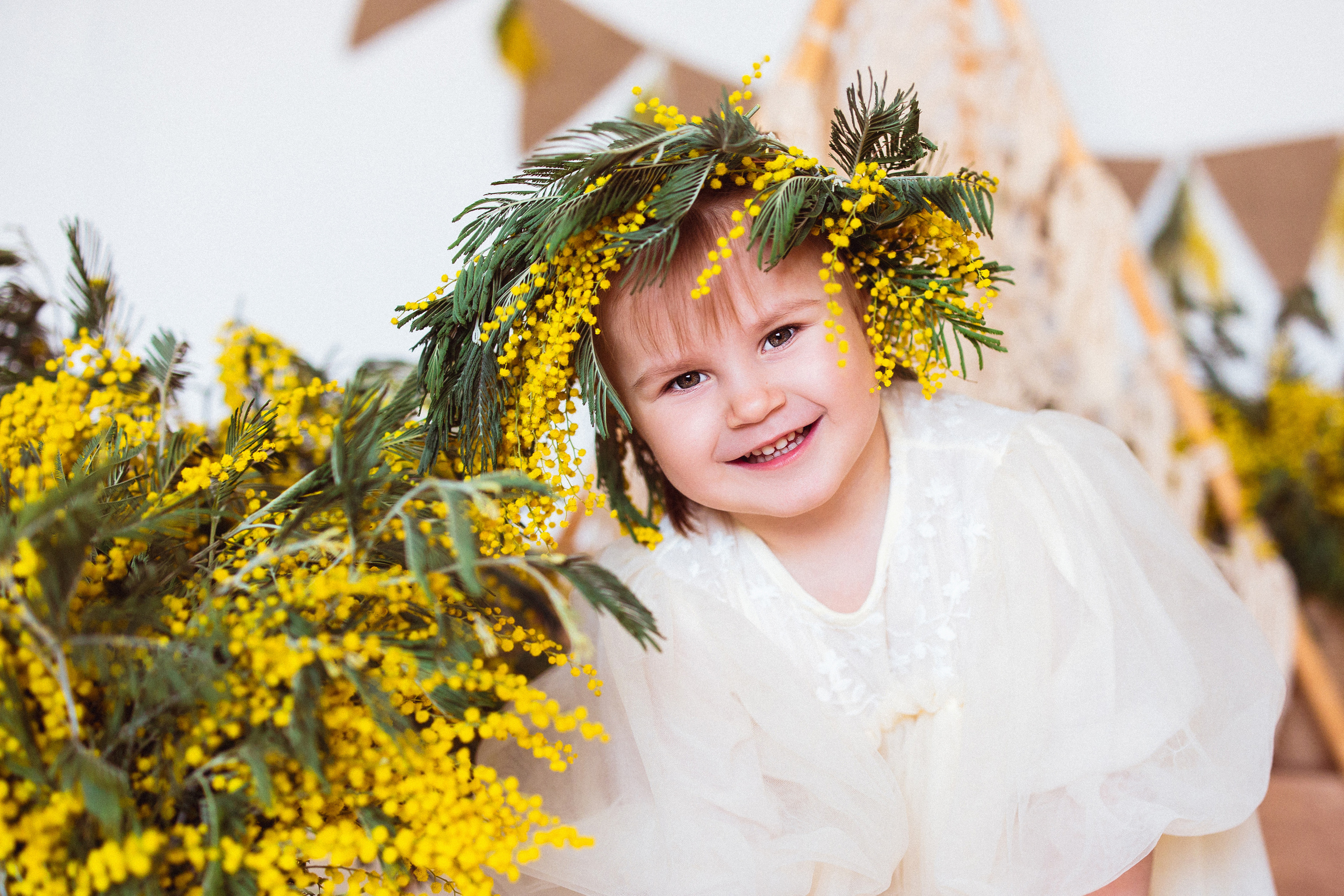 Мимоза, Фотостудия «АНТУРАЖ». Семейный и детский фотограф в Краснодаре Анна Трашкова