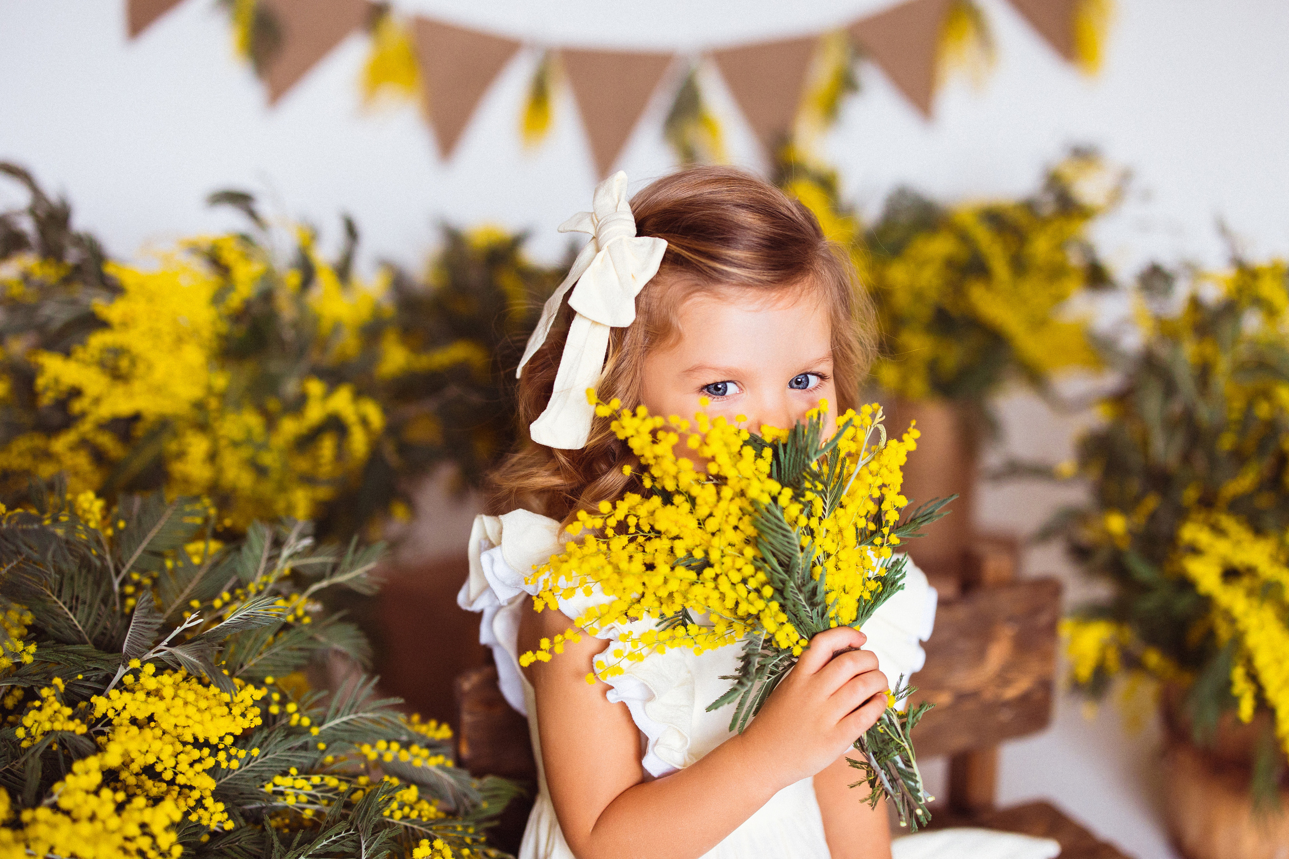 Мимоза, Фотостудия «АНТУРАЖ». Семейный и детский фотограф в Краснодаре Анна Трашкова