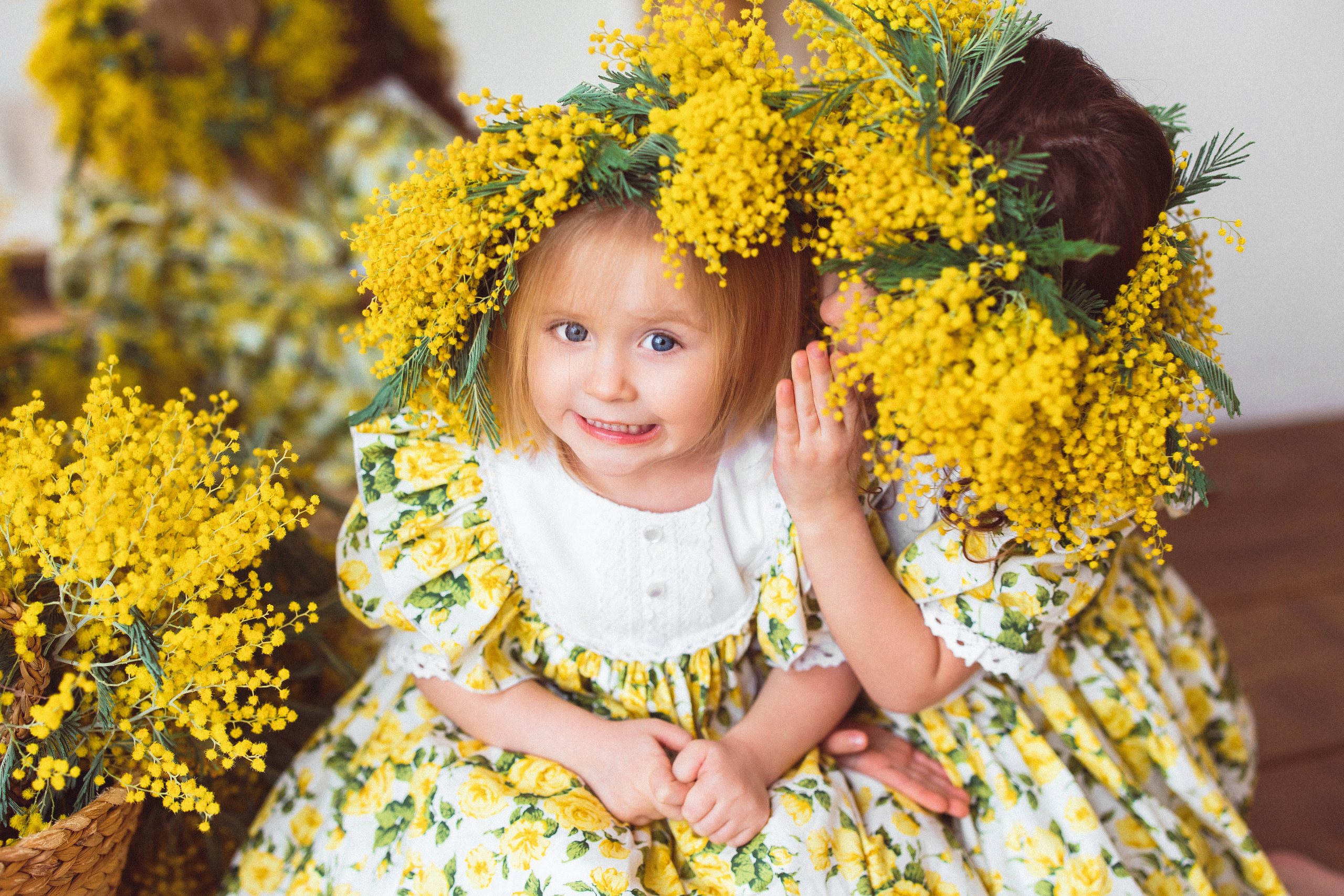 Мимоза, Фотостудия «Майя». Семейный и детский фотограф в Краснодаре Анна Трашкова