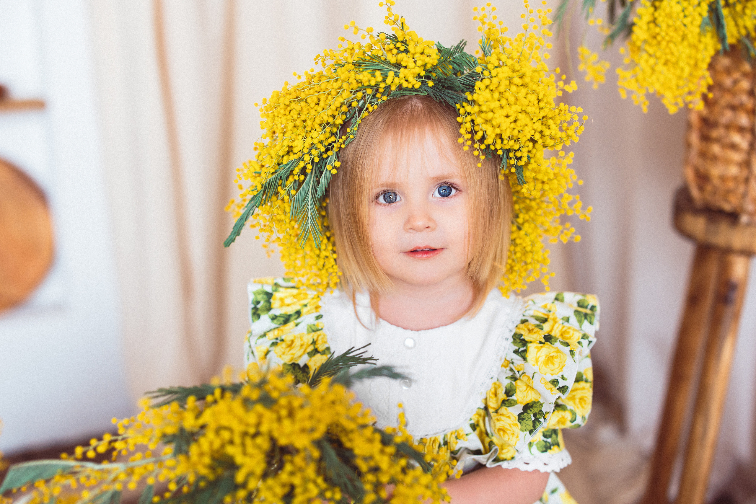 Мимоза, Фотостудия «Майя». Семейный и детский фотограф в Краснодаре Анна Трашкова