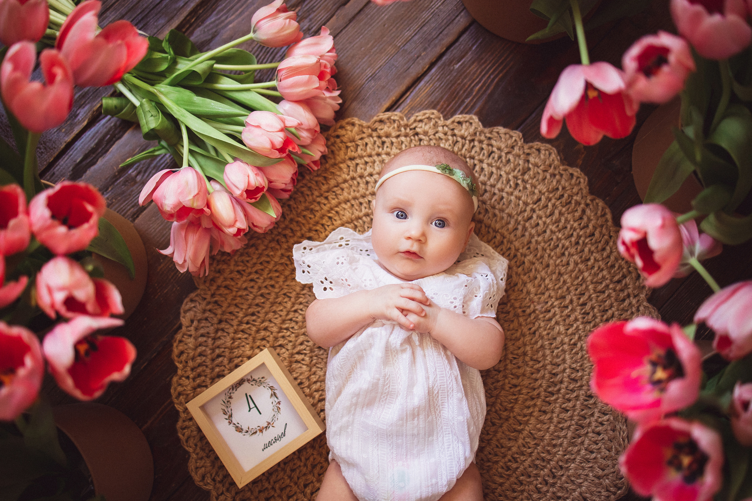 Тюльпаны, Фотостудия «Антураж». Семейный и детский фотограф в Краснодаре Анна Трашкова