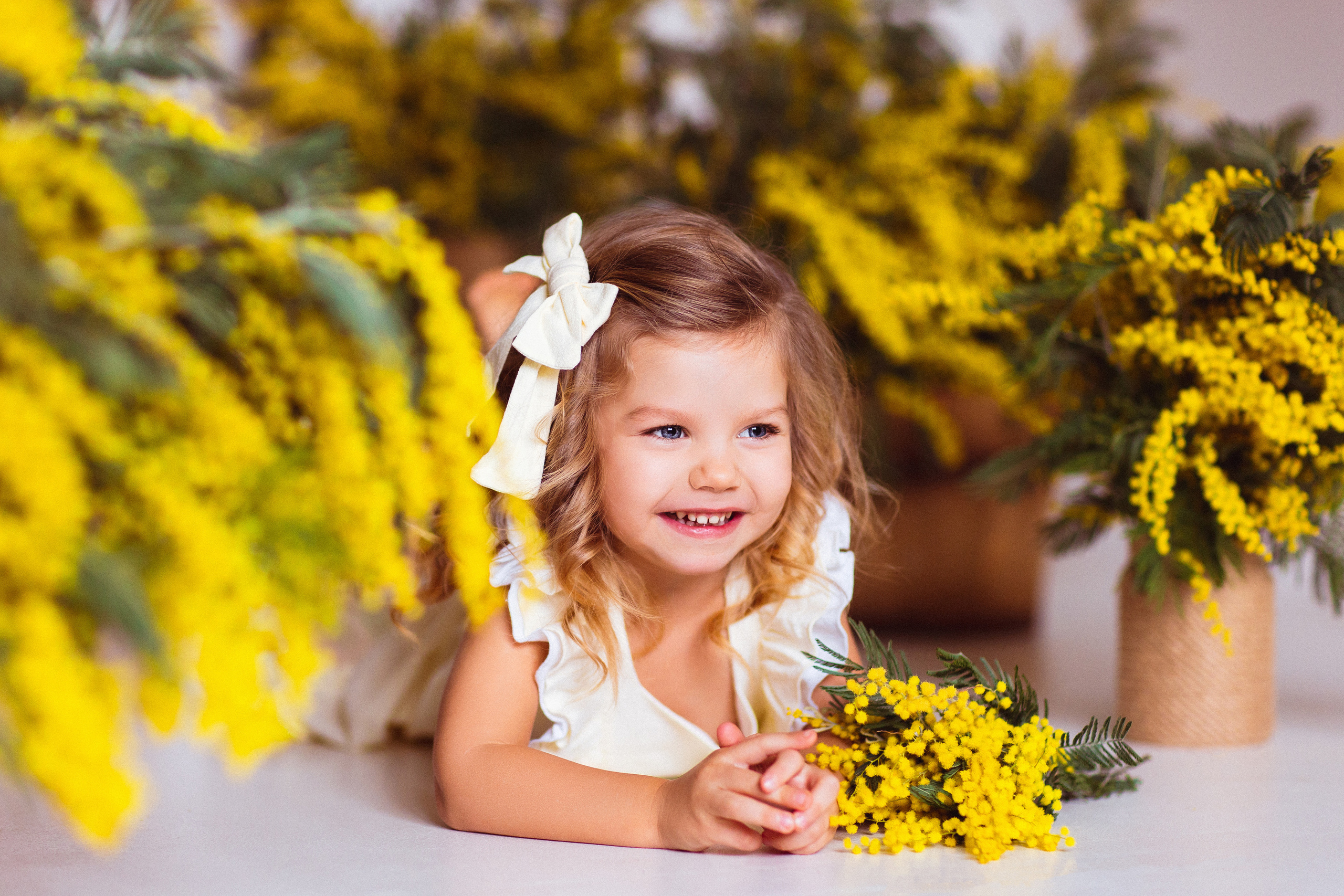 Мимоза, Фотостудия «АНТУРАЖ». Семейный и детский фотограф в Краснодаре Анна Трашкова