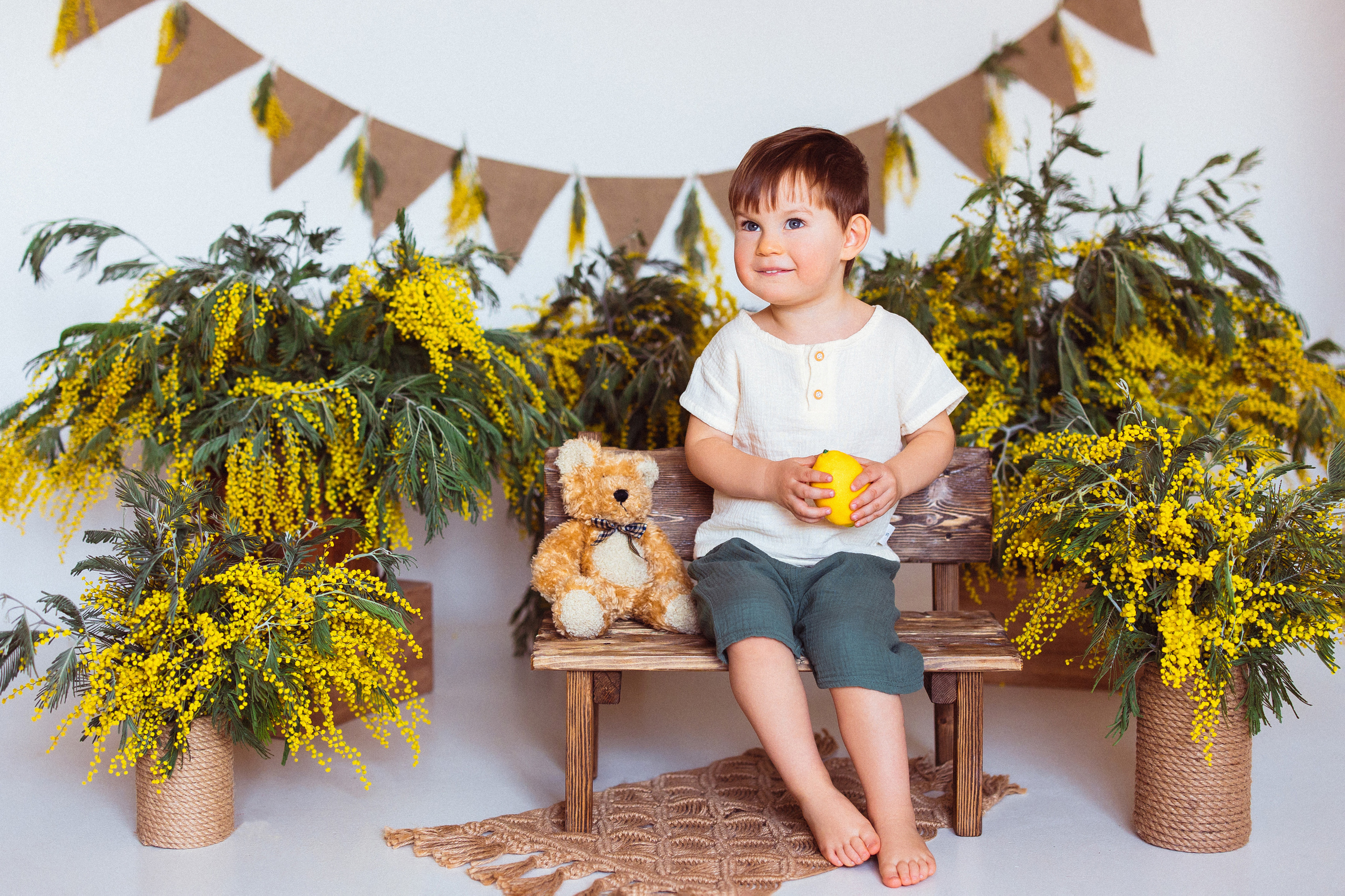 Мимоза, Фотостудия «АНТУРАЖ». Семейный и детский фотограф в Краснодаре Анна Трашкова