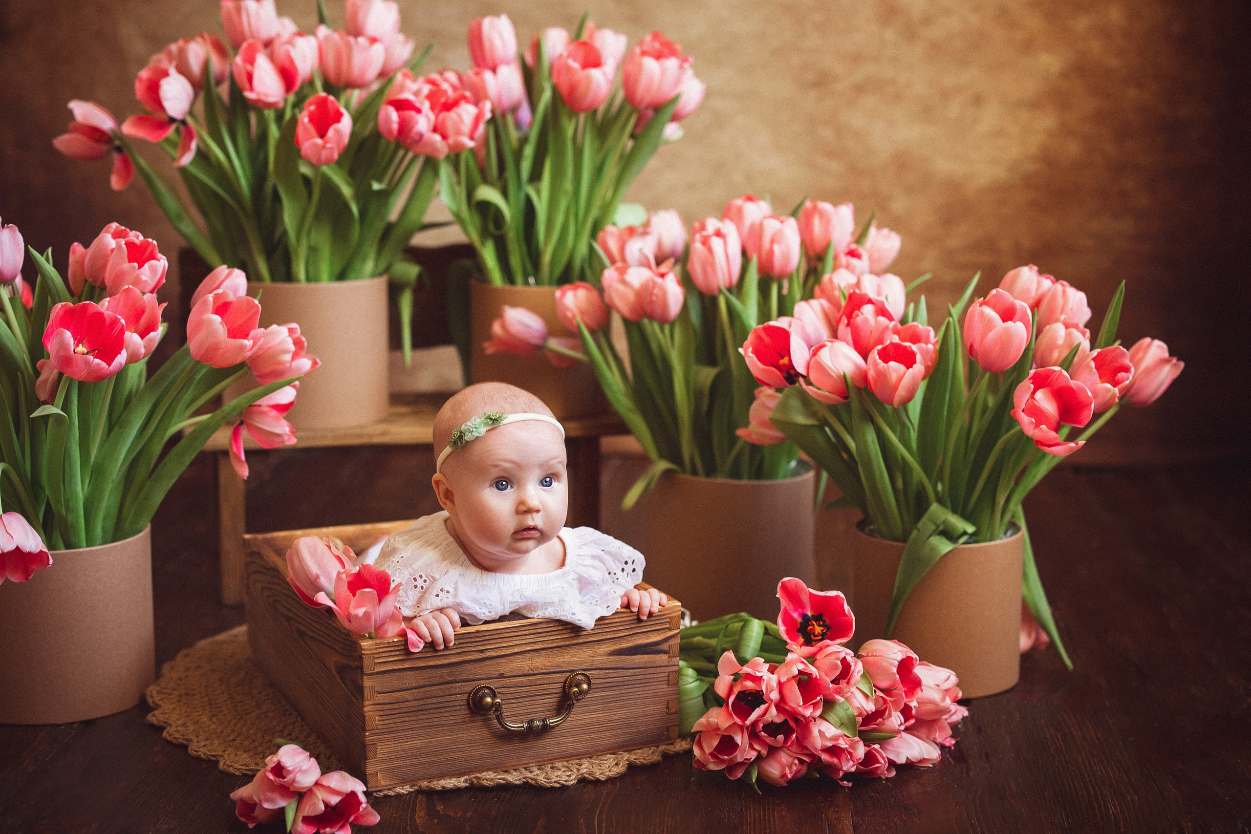 Тюльпаны, Фотостудия «Антураж». Семейный и детский фотограф в Краснодаре Анна Трашкова