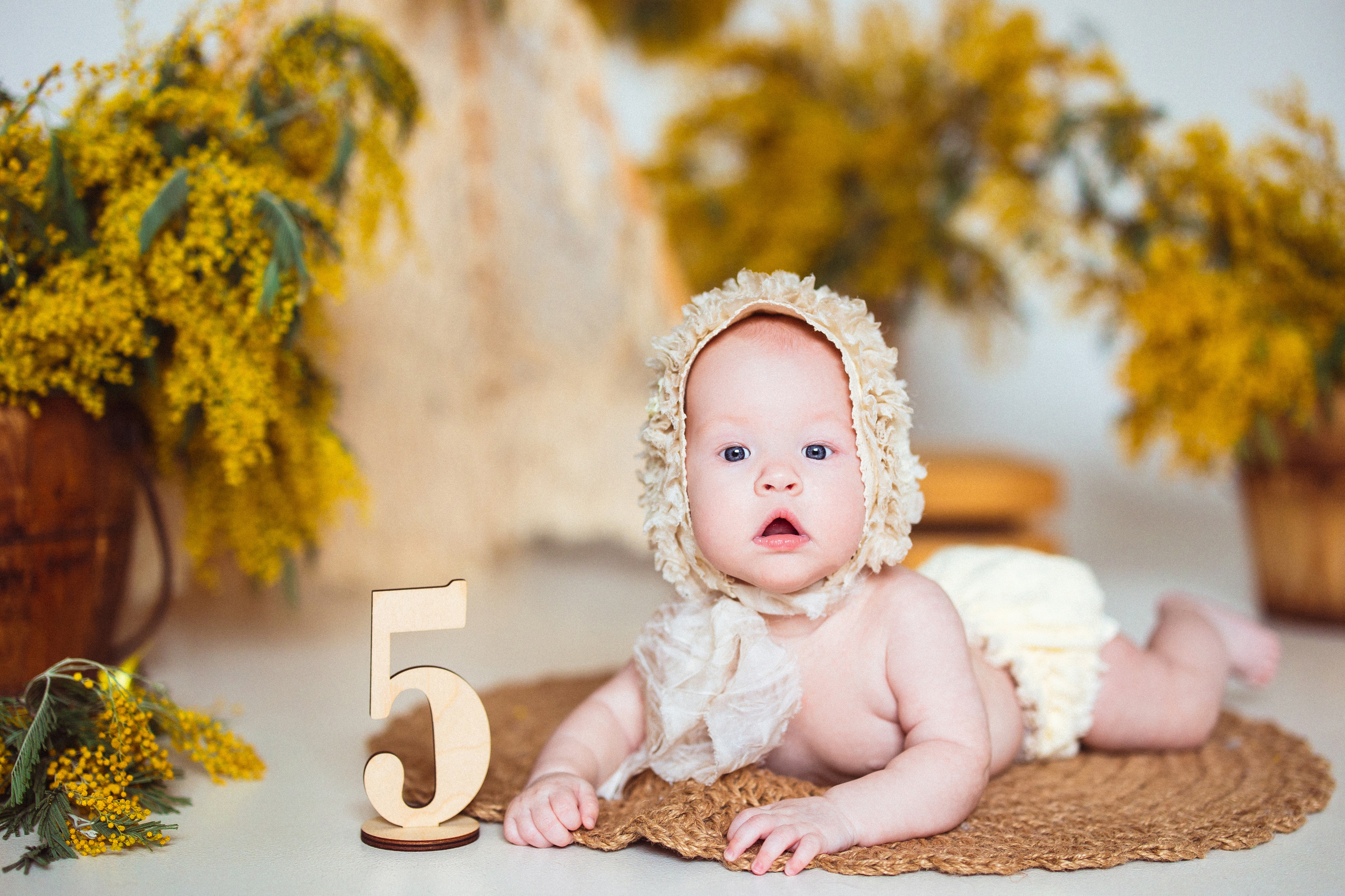 Мимоза, Фотостудия «АНТУРАЖ». Семейный и детский фотограф в Краснодаре Анна Трашкова