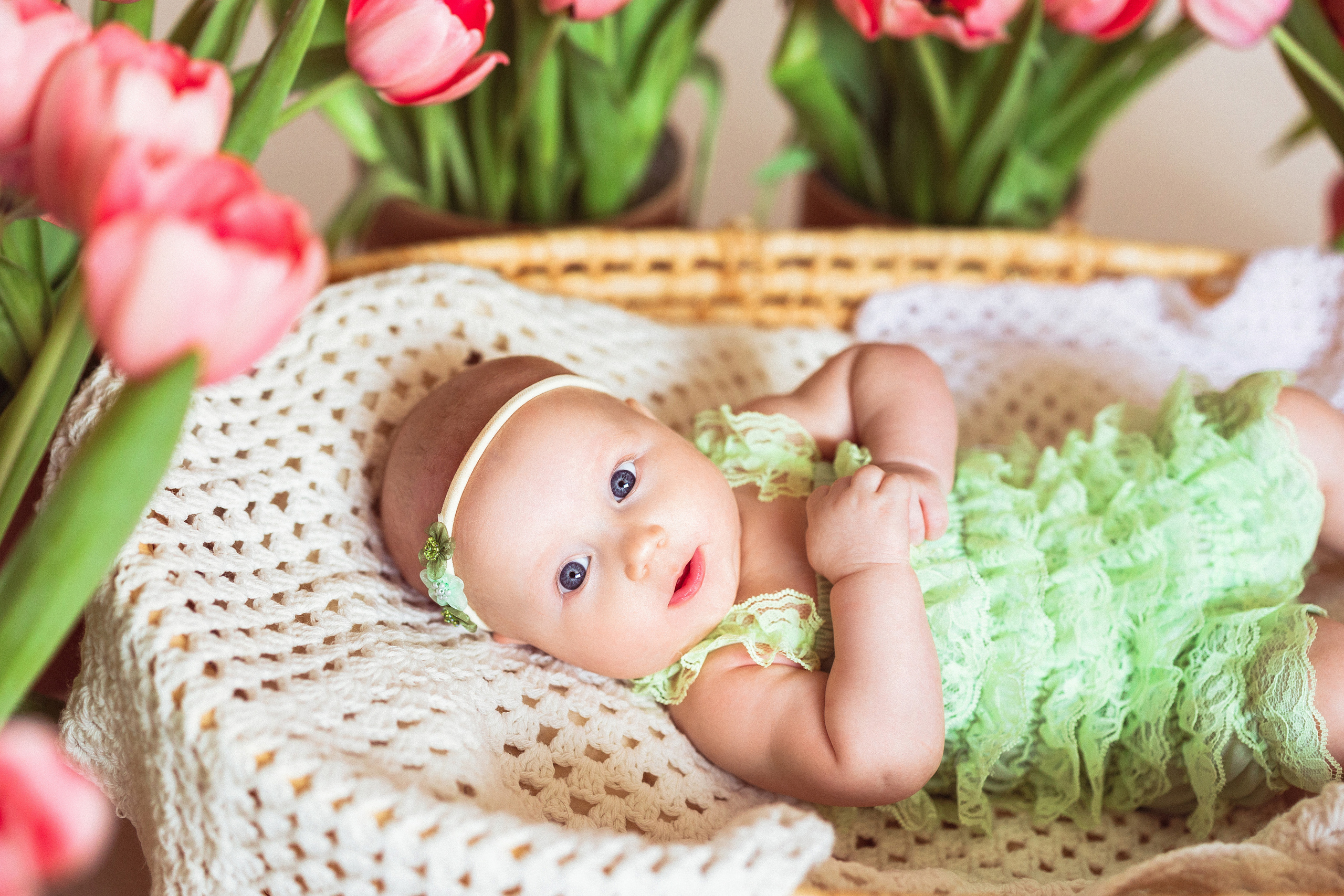 Тюльпаны, Фотостудия «Антураж». Семейный и детский фотограф в Краснодаре Анна Трашкова