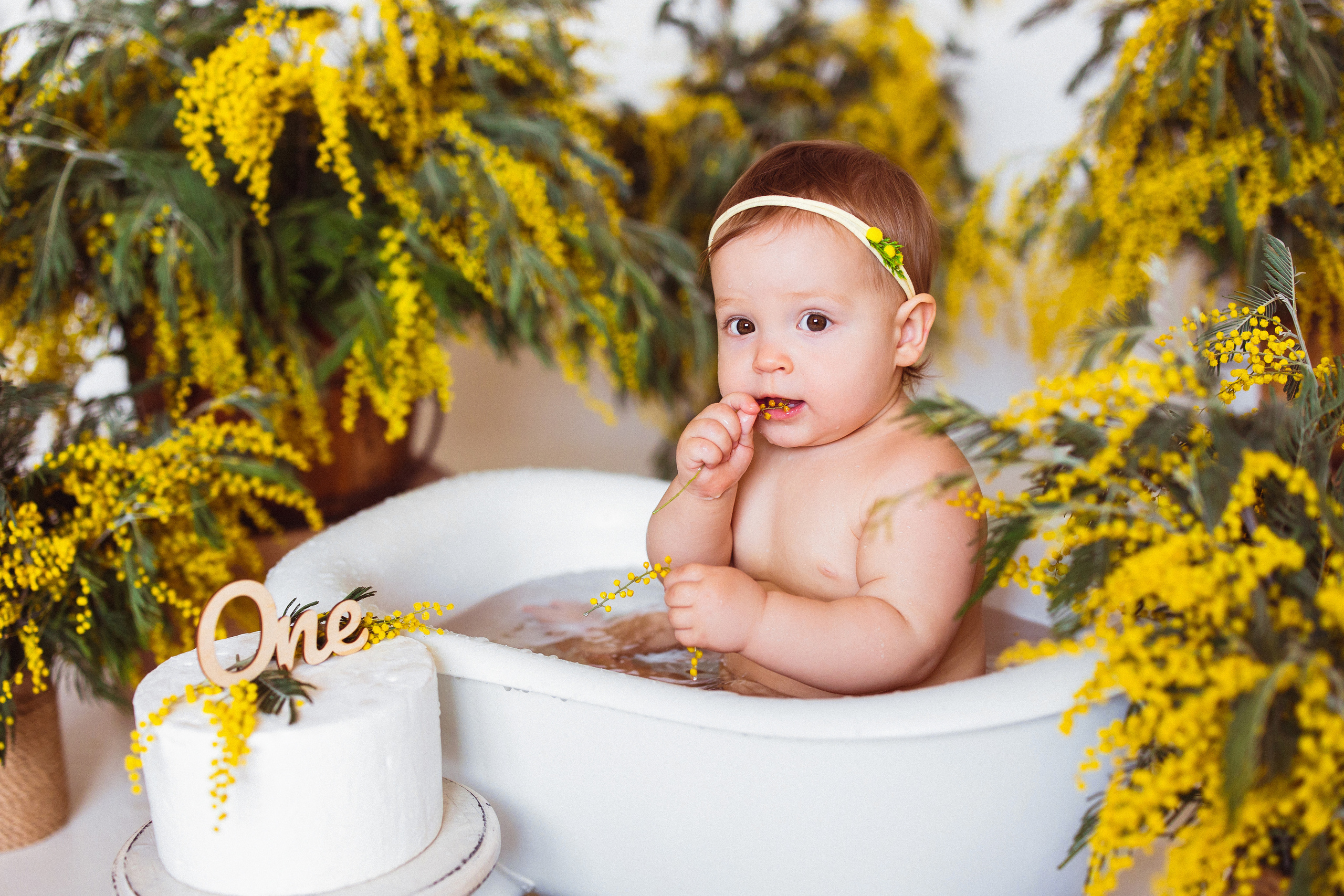 Мимоза, Фотостудия «АНТУРАЖ». Семейный и детский фотограф в Краснодаре Анна Трашкова