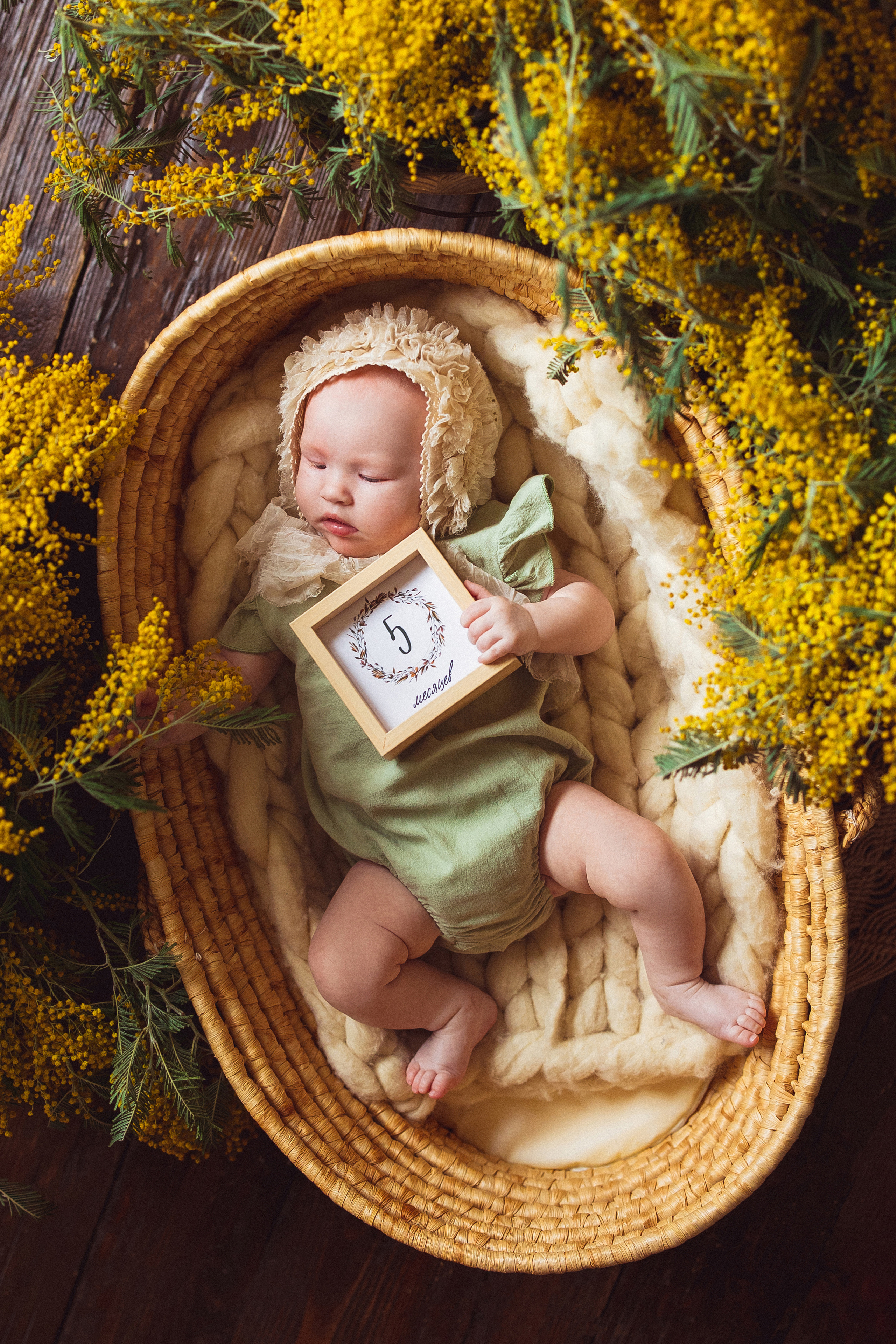 Мимоза, Фотостудия «АНТУРАЖ». Семейный и детский фотограф в Краснодаре Анна Трашкова