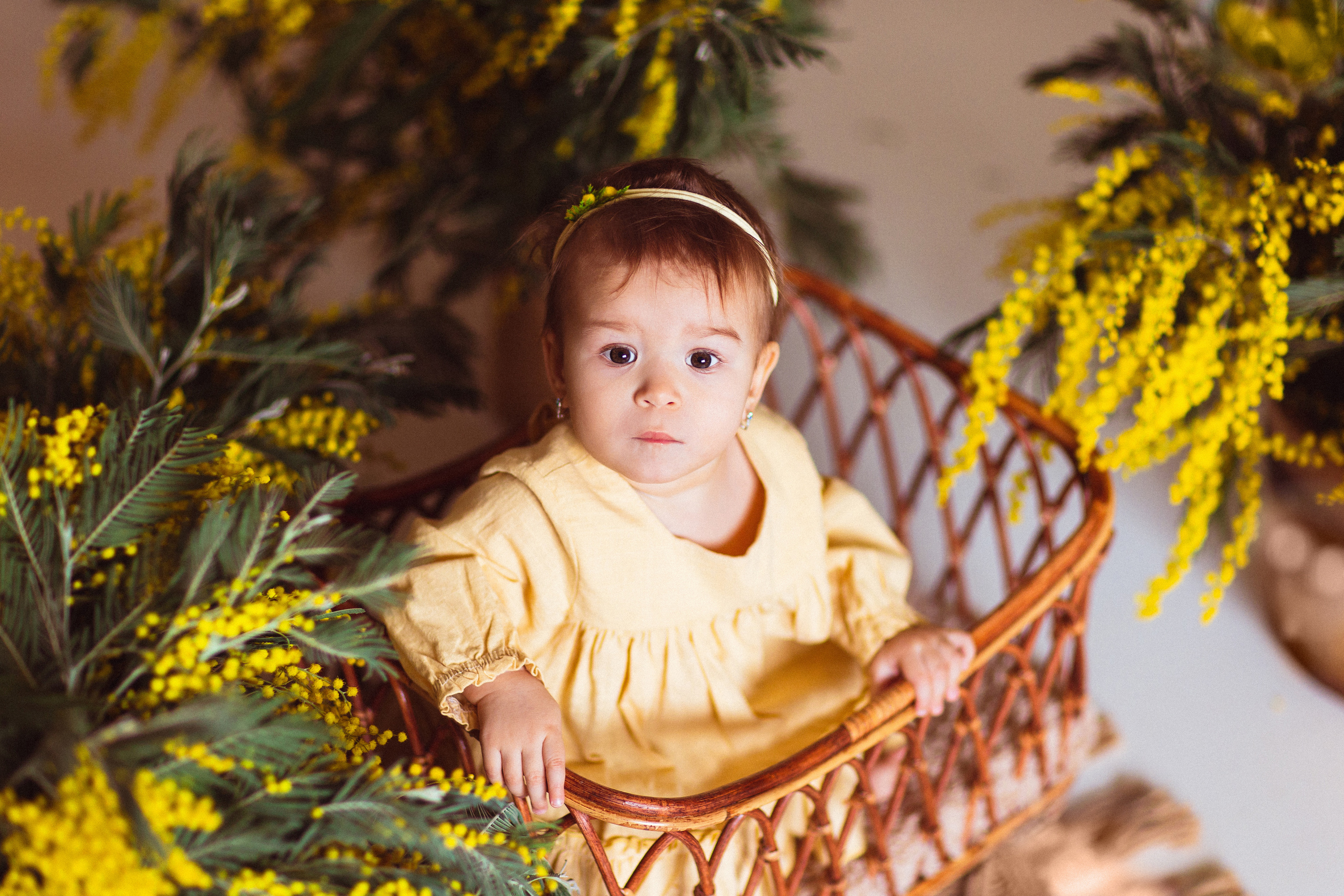 Мимоза, Фотостудия «АНТУРАЖ». Семейный и детский фотограф в Краснодаре Анна Трашкова