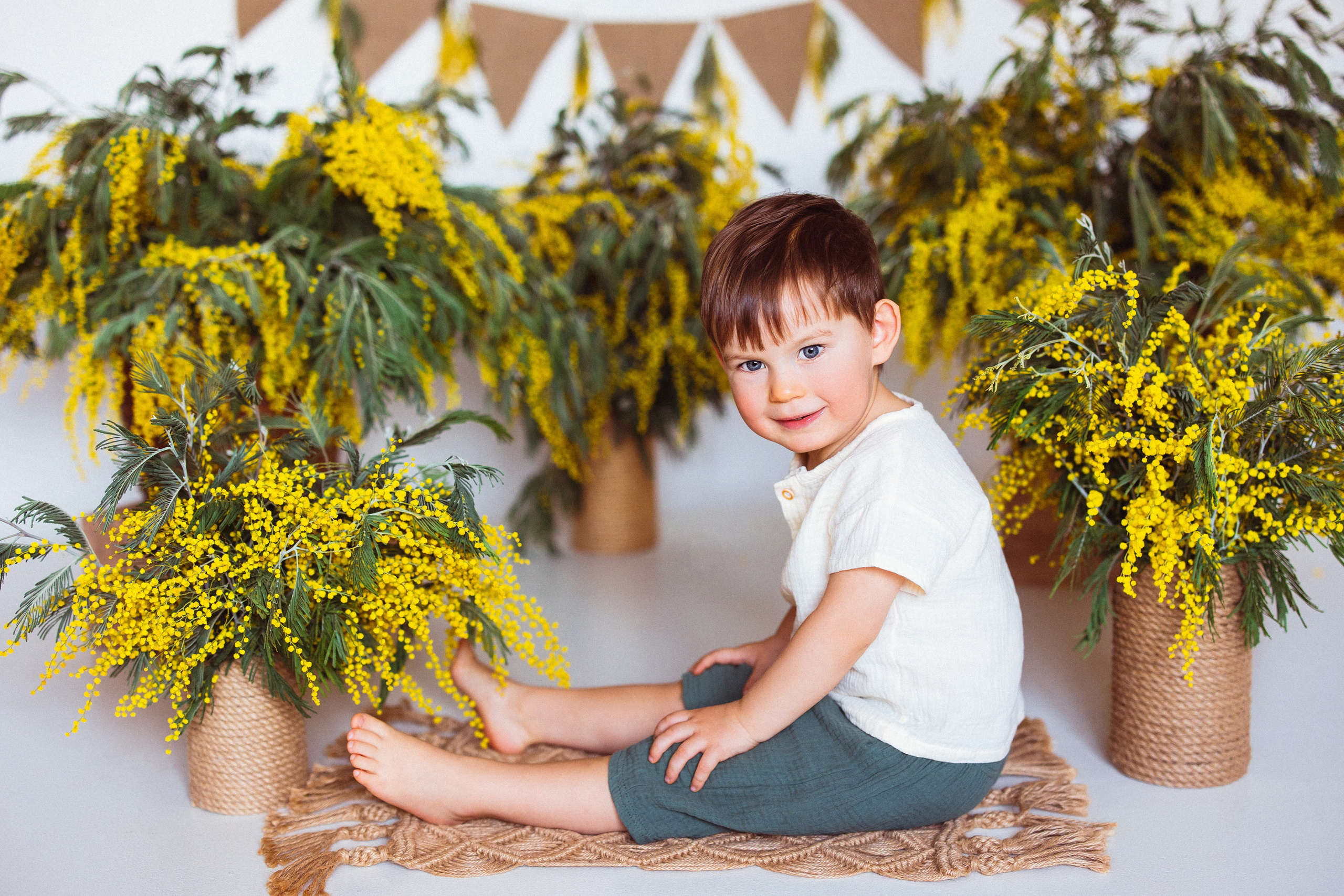 Мимоза, Фотостудия «АНТУРАЖ». Семейный и детский фотограф в Краснодаре Анна Трашкова