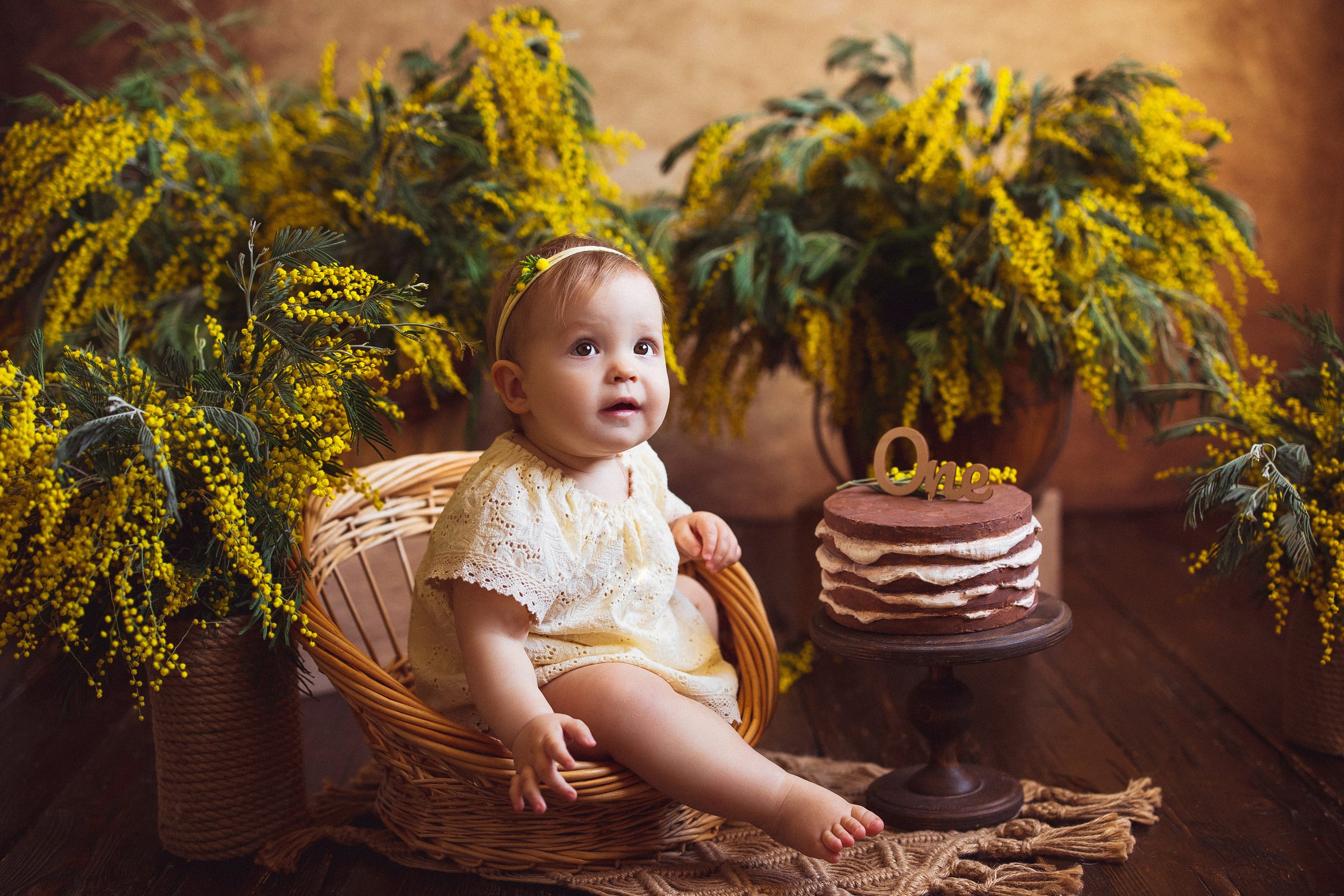 Мимоза, Фотостудия «АНТУРАЖ». Семейный и детский фотограф в Краснодаре Анна Трашкова