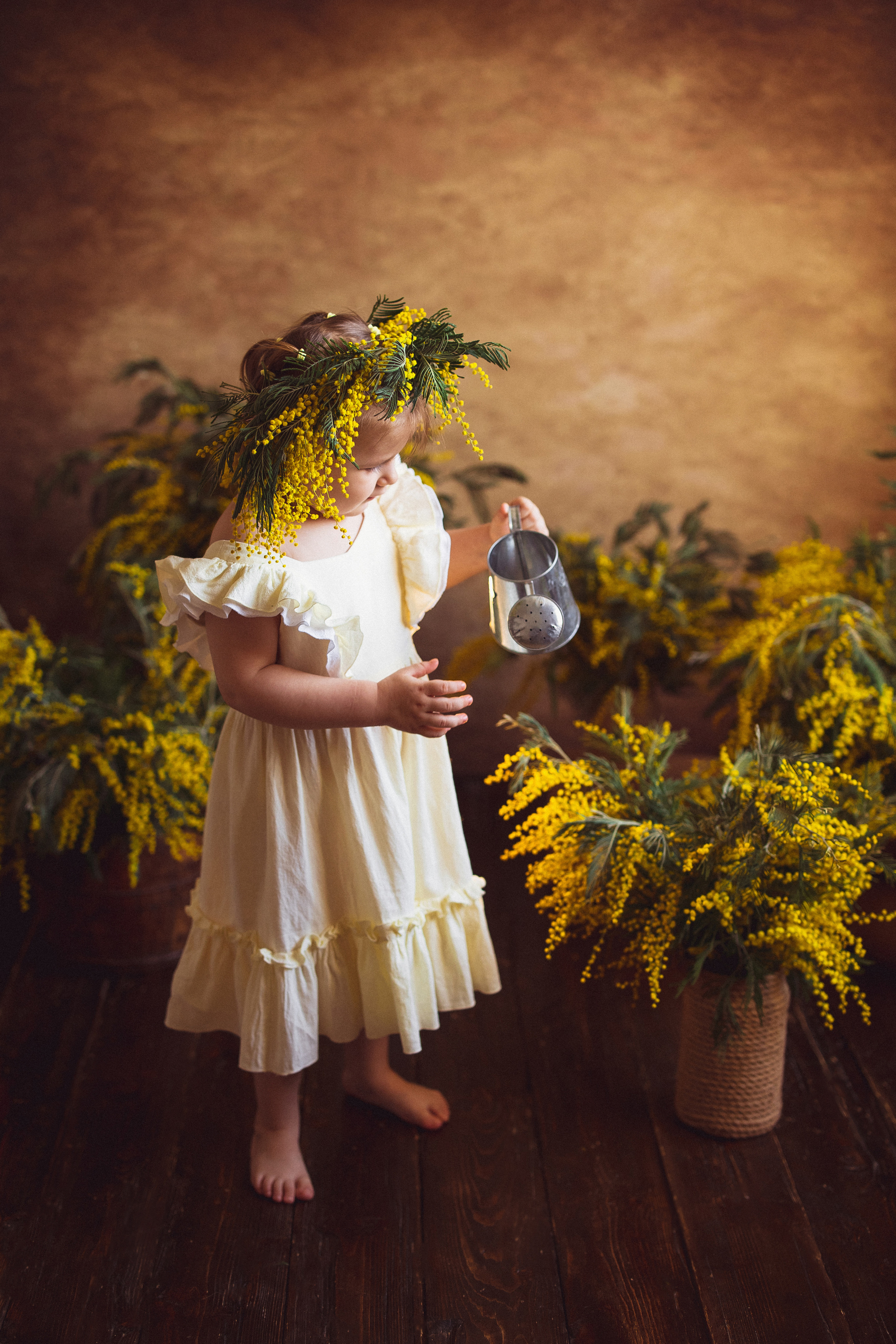 Мимоза, Фотостудия «АНТУРАЖ». Семейный и детский фотограф в Краснодаре Анна Трашкова