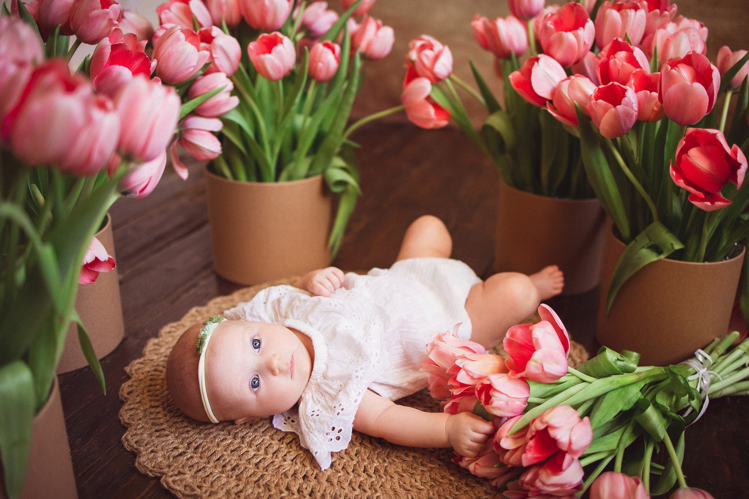 Тюльпаны, Фотостудия «Антураж». Семейный и детский фотограф в Краснодаре Анна Трашкова