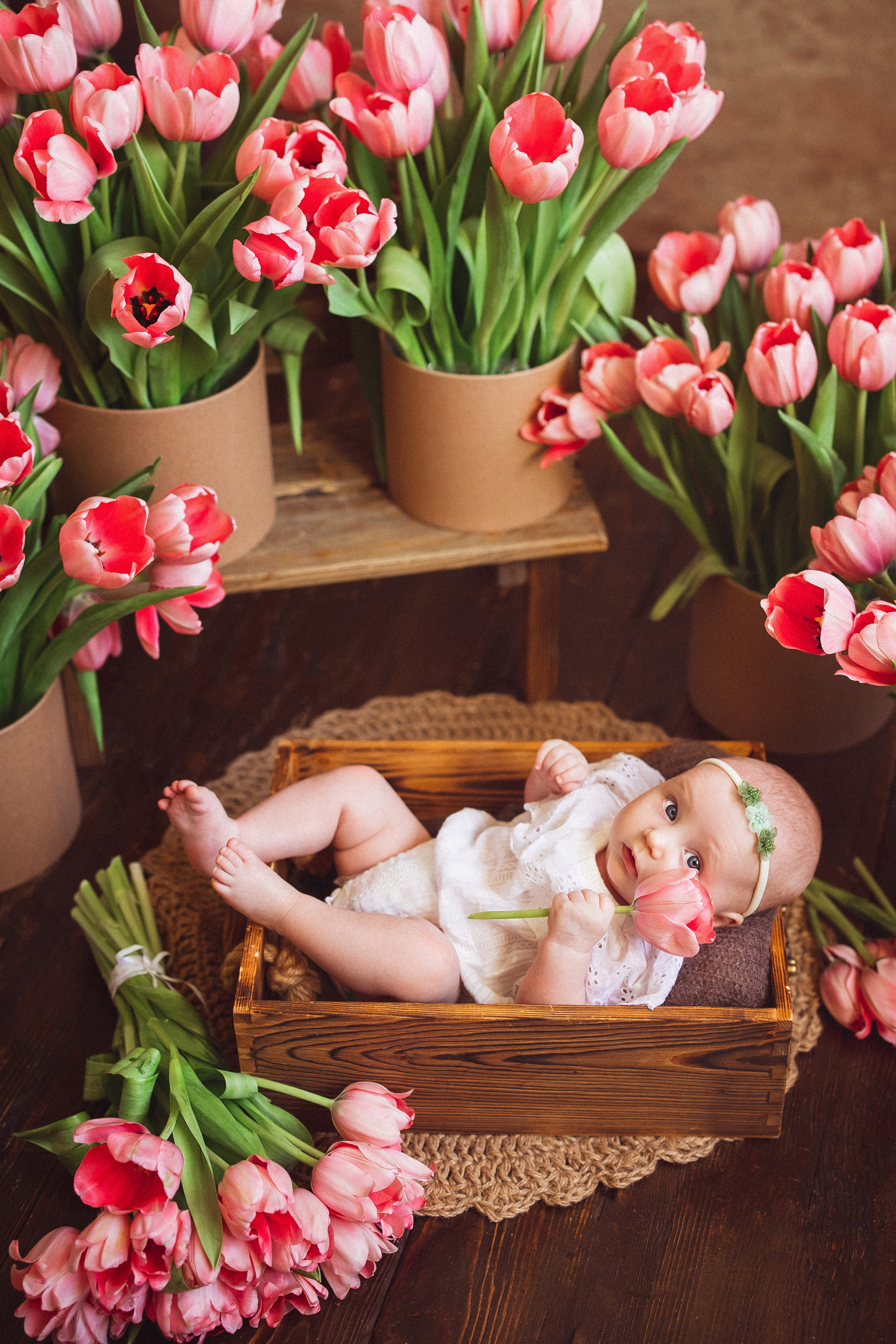 Тюльпаны, Фотостудия «Антураж». Семейный и детский фотограф в Краснодаре Анна Трашкова