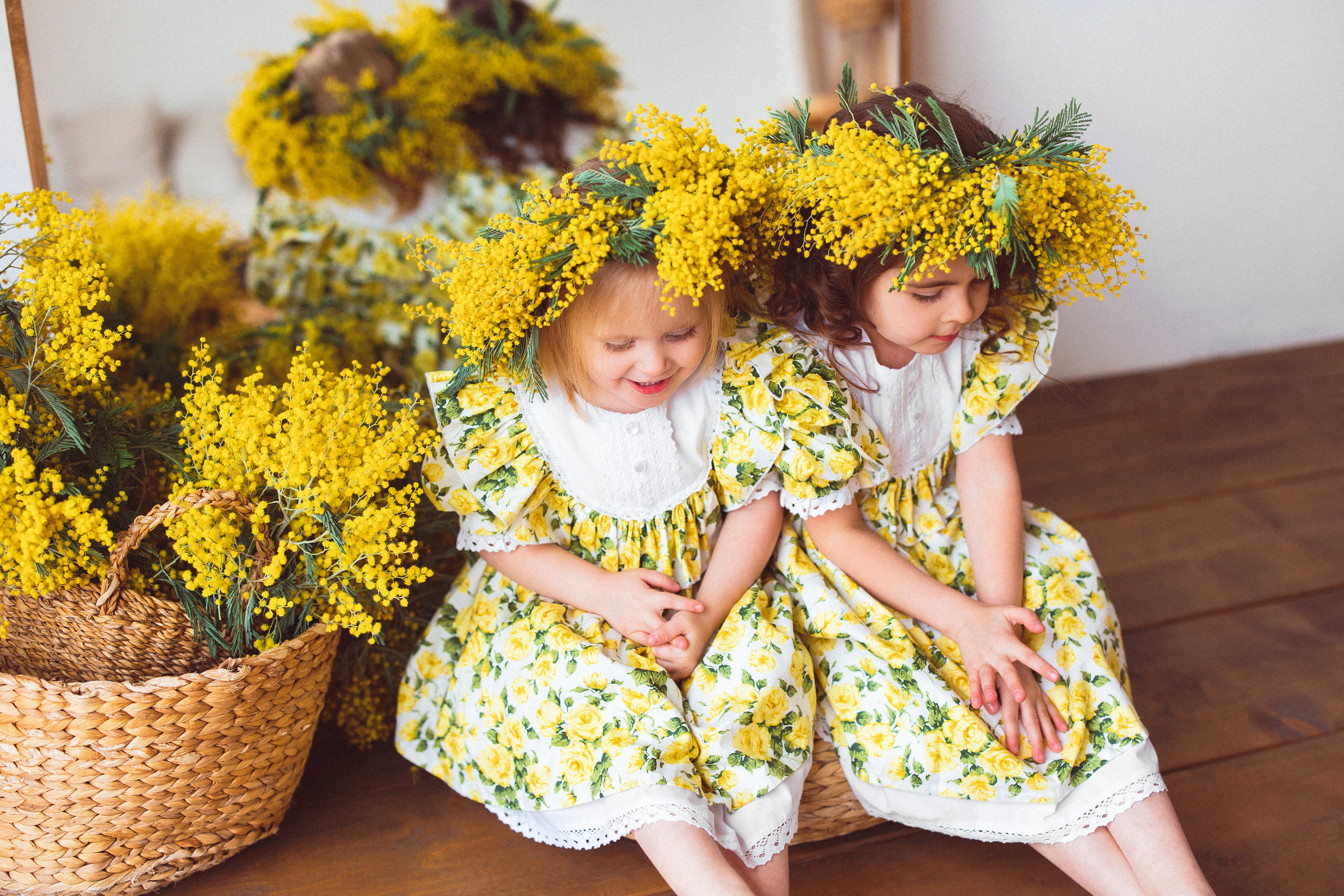 Мимоза, Фотостудия «Майя». Семейный и детский фотограф в Краснодаре Анна Трашкова