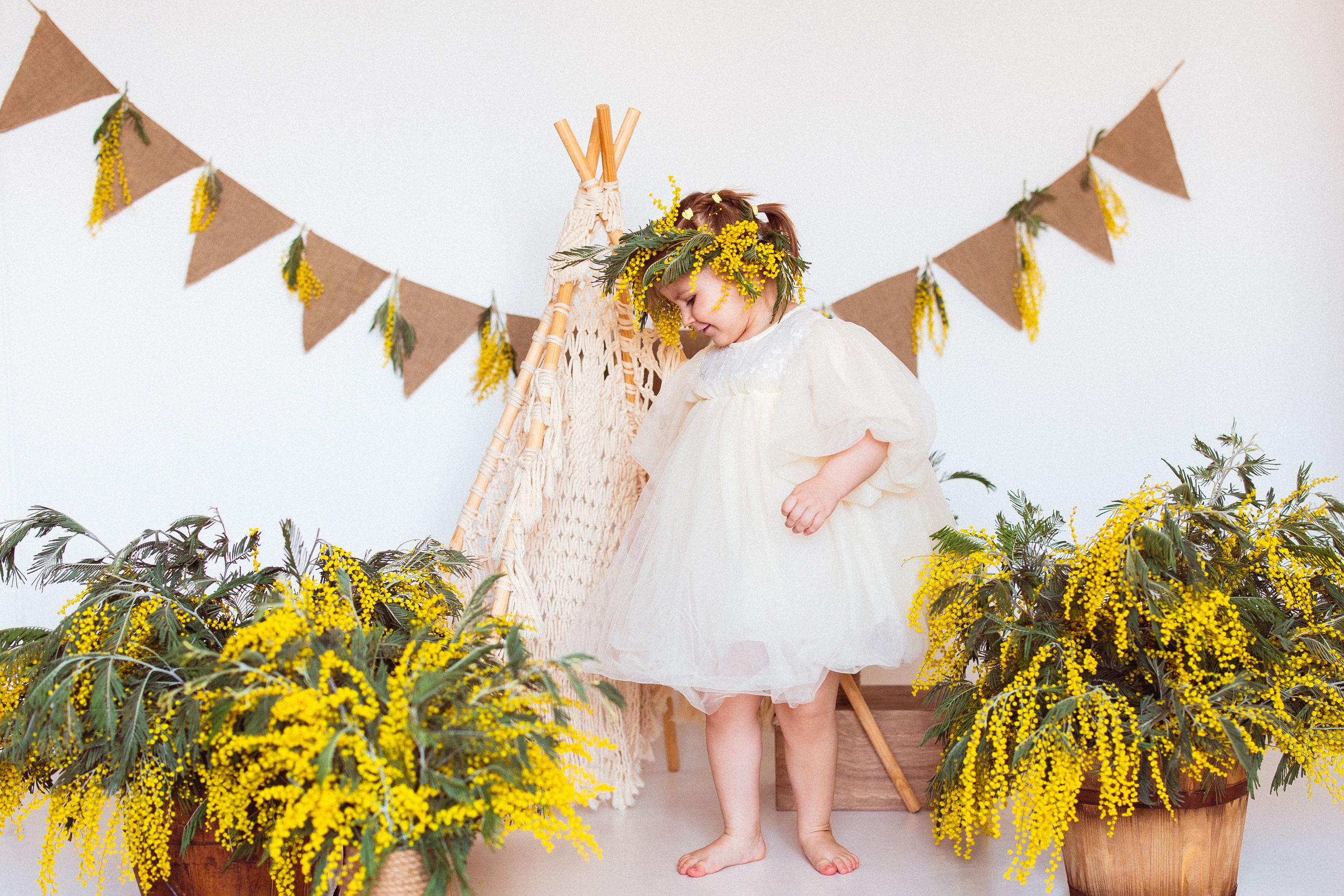 Мимоза, Фотостудия «АНТУРАЖ». Семейный и детский фотограф в Краснодаре Анна Трашкова