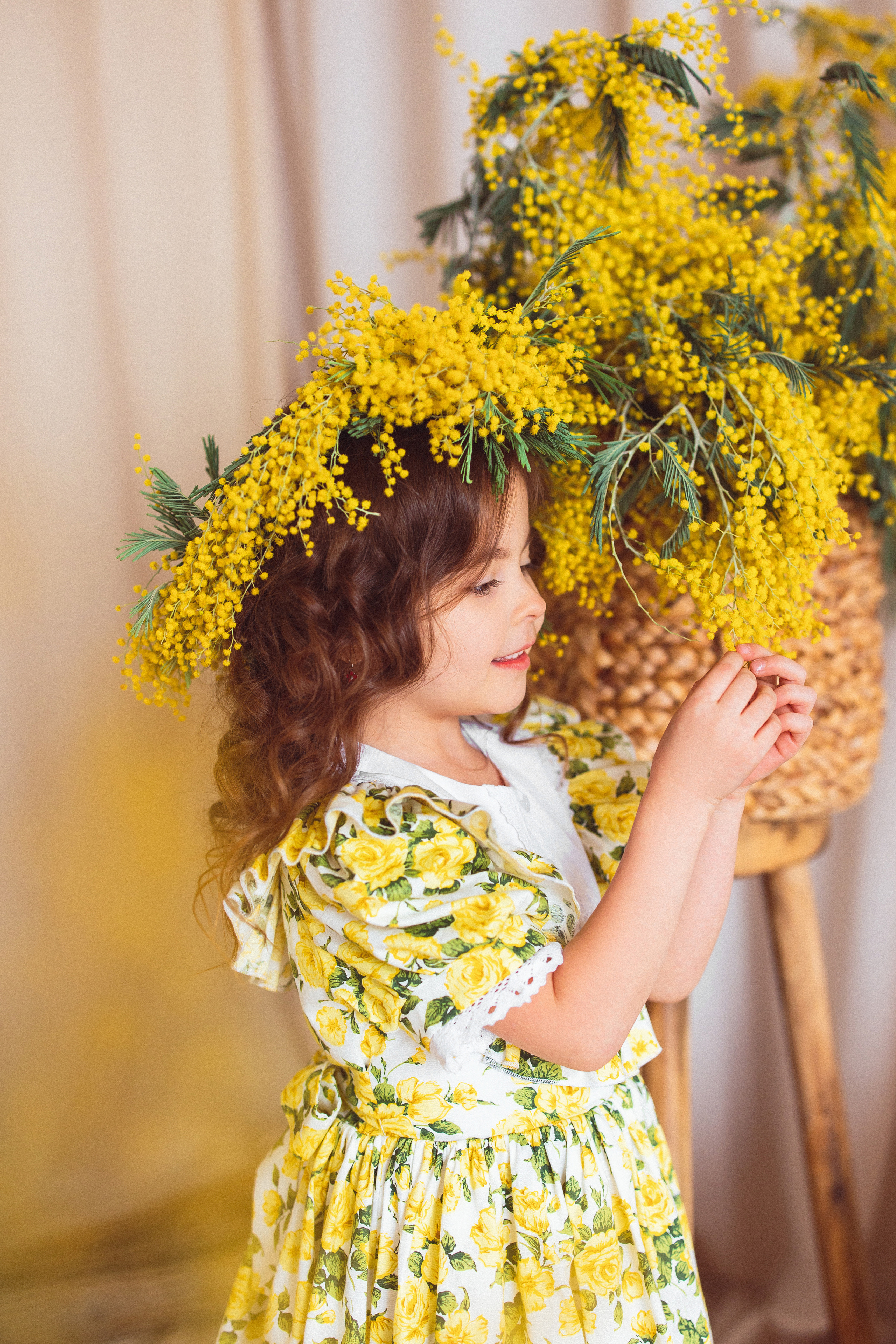 Мимоза, Фотостудия «Майя». Семейный и детский фотограф в Краснодаре Анна Трашкова