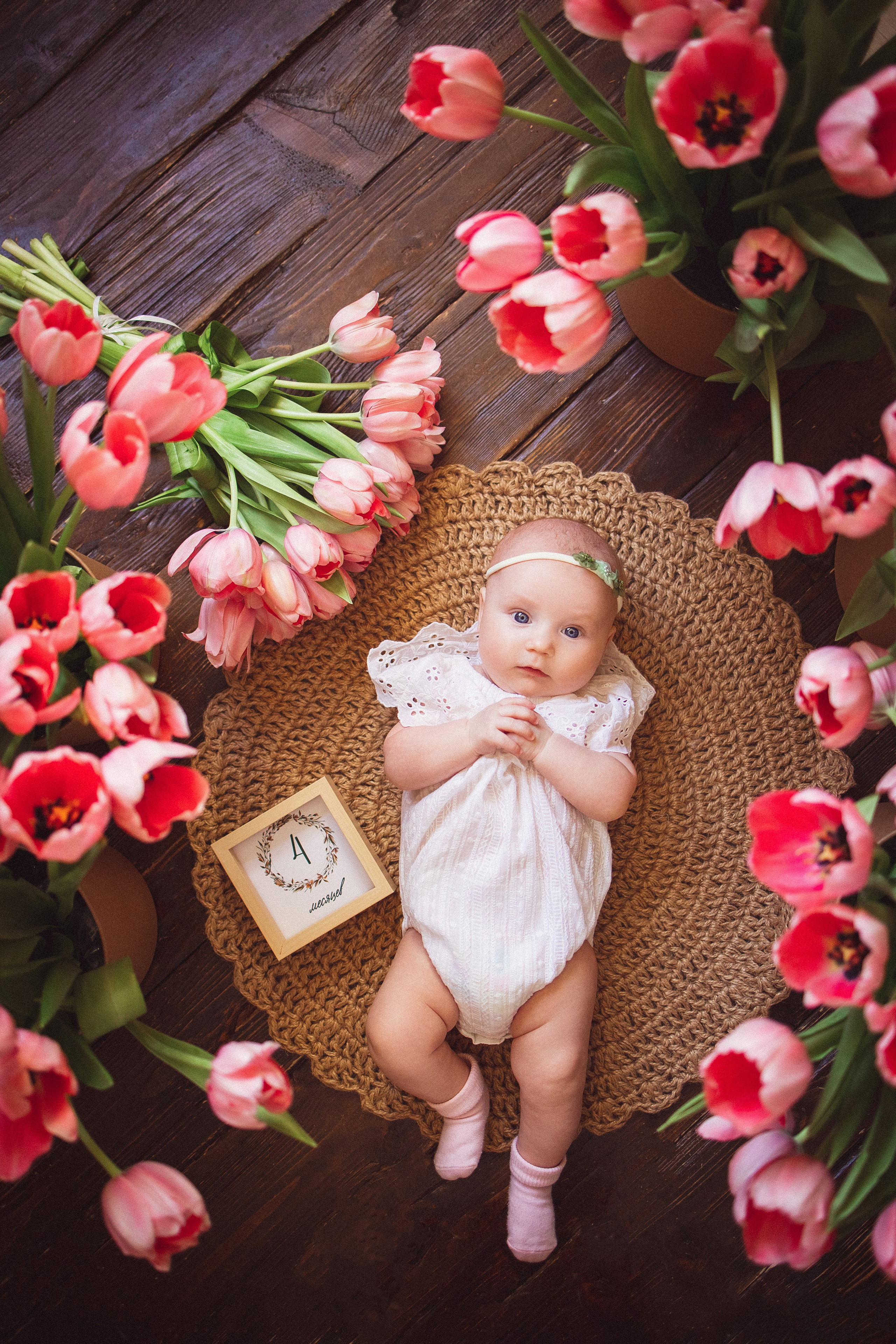 Тюльпаны, Фотостудия «Антураж». Семейный и детский фотограф в Краснодаре Анна Трашкова