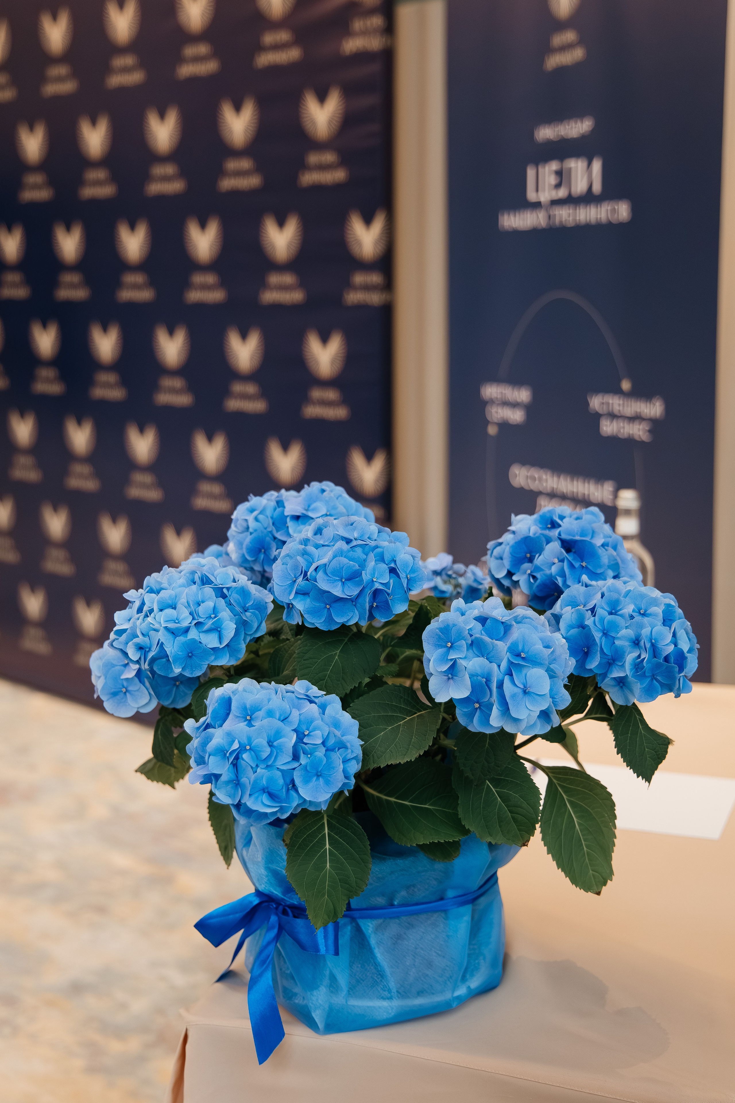 Тренинг. Фотограф Марина Верятинская | Краснодар