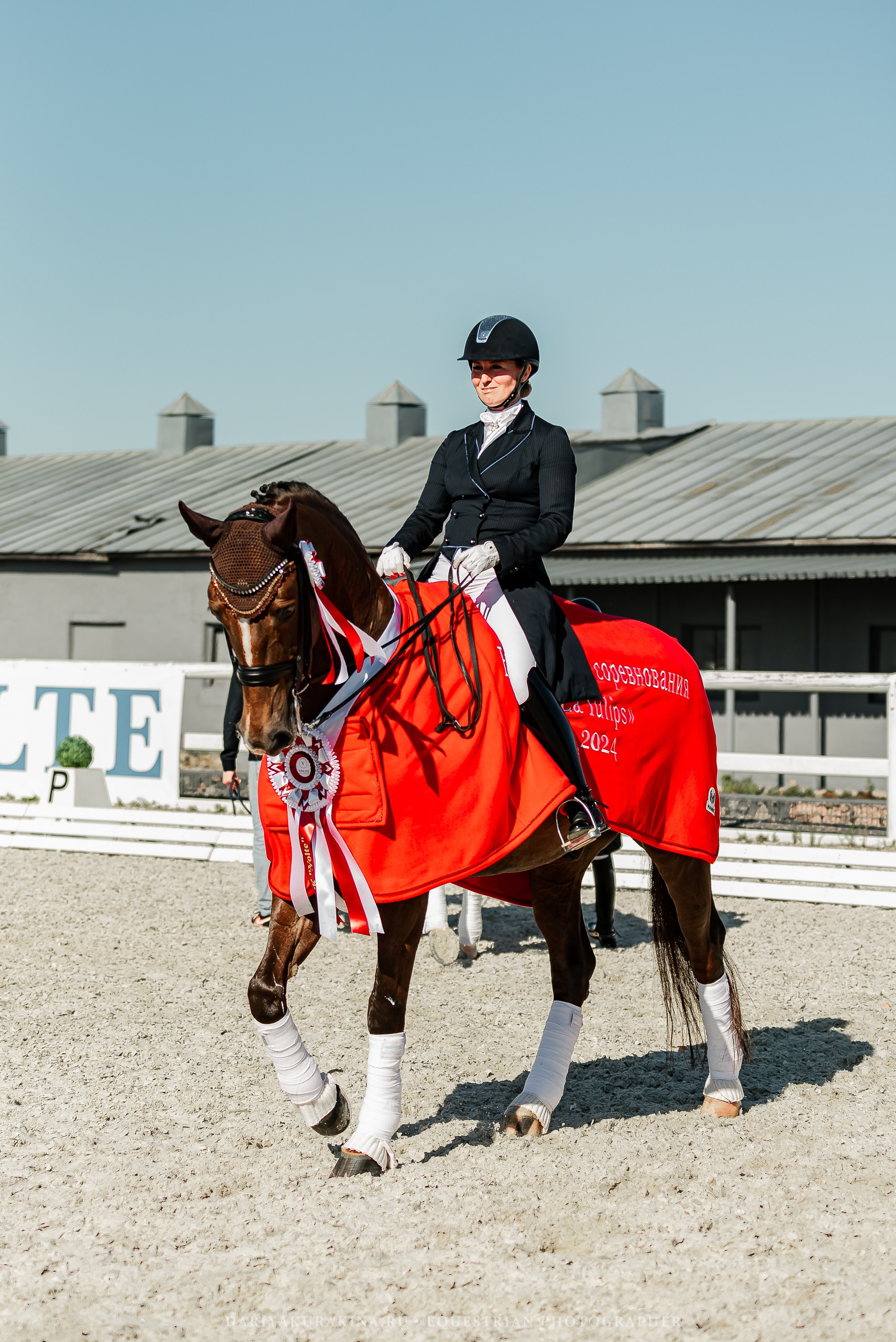РЕПОРТАЖ МКК ВОЛЬТ «LA TULIPS». Конный фотограф Куракина Дарья • Фотосессии с лошадьми