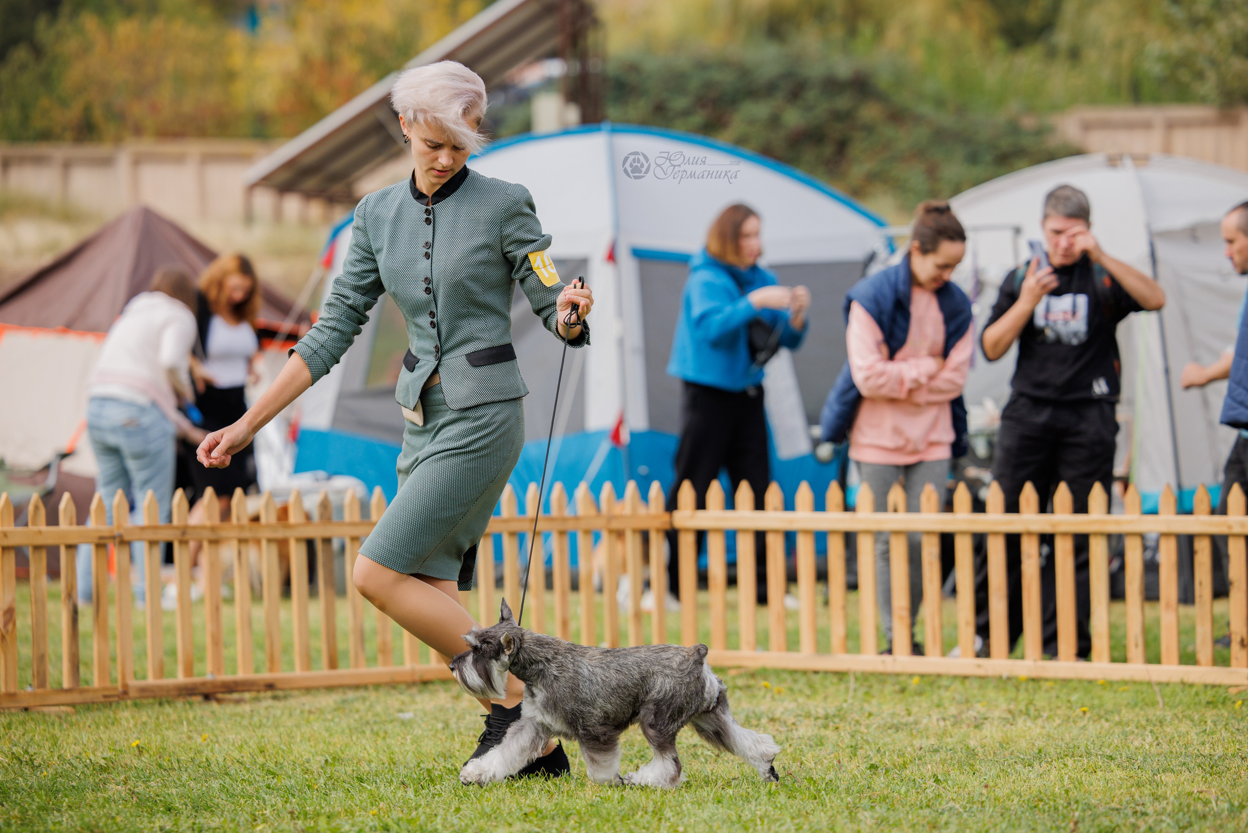 Армения,Ереван 3хCACIB 15-17.10.2024. Фотограф-анималист Юлия Германика