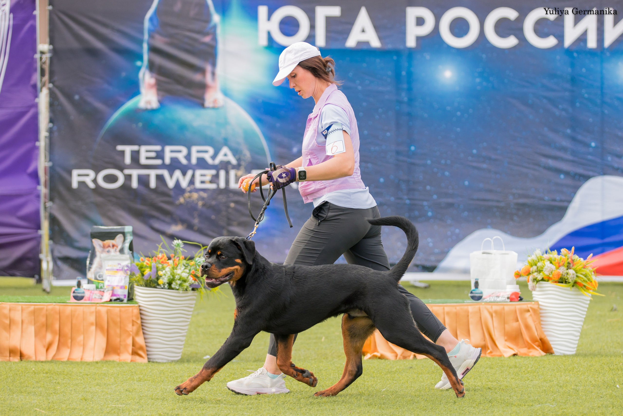 Анапа 16-17.09.2023 моно ротвейлеров. Фотограф-анималист Юлия Германика