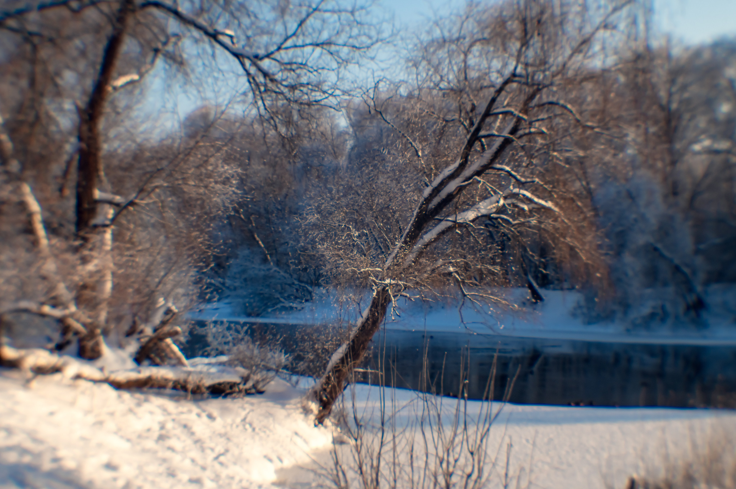 Зимушка зима. Фотограф Крещение Венчание Москва