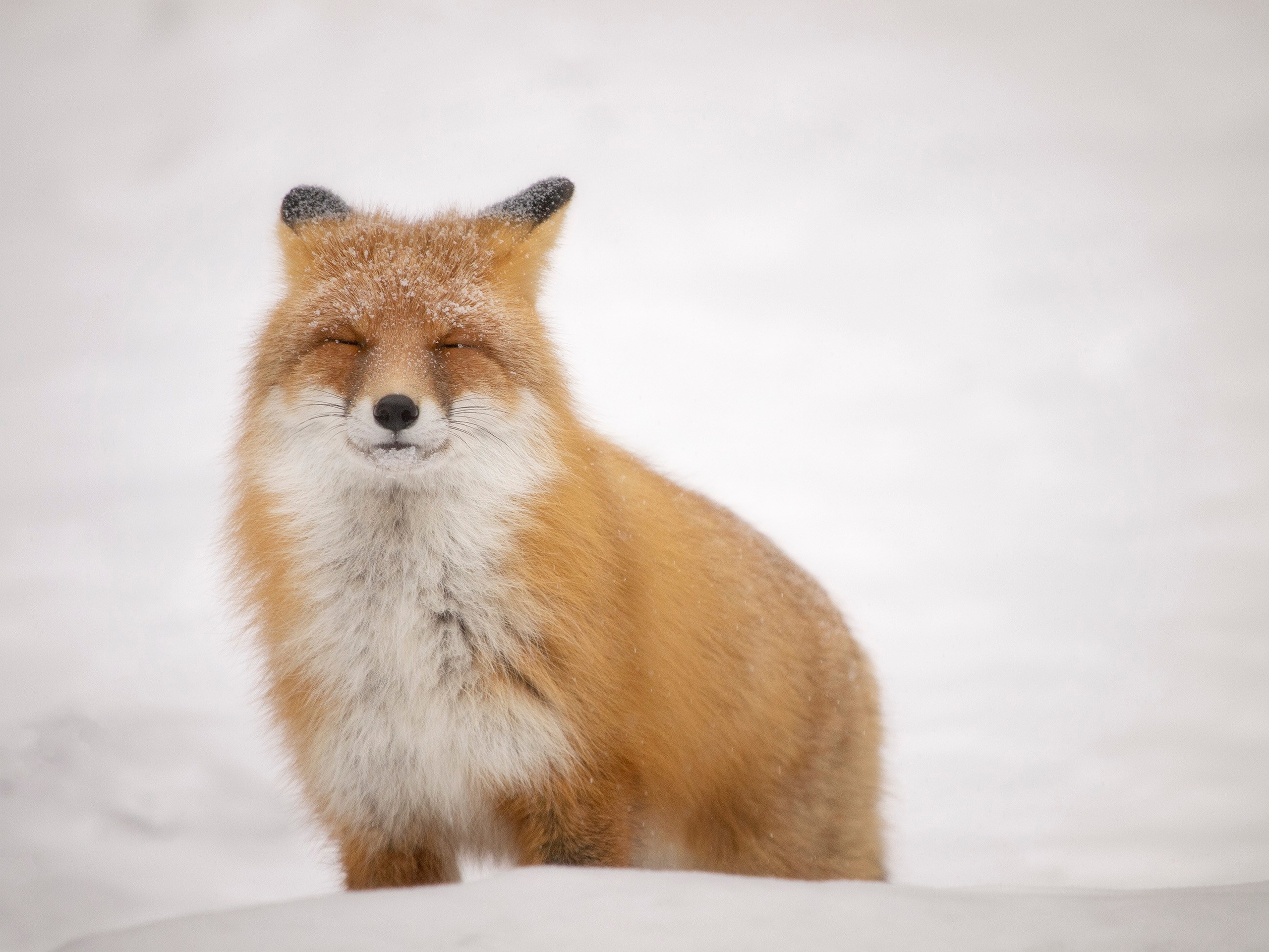 Александр Лещёнок-фотограф-пейзажист / г. Красноярск