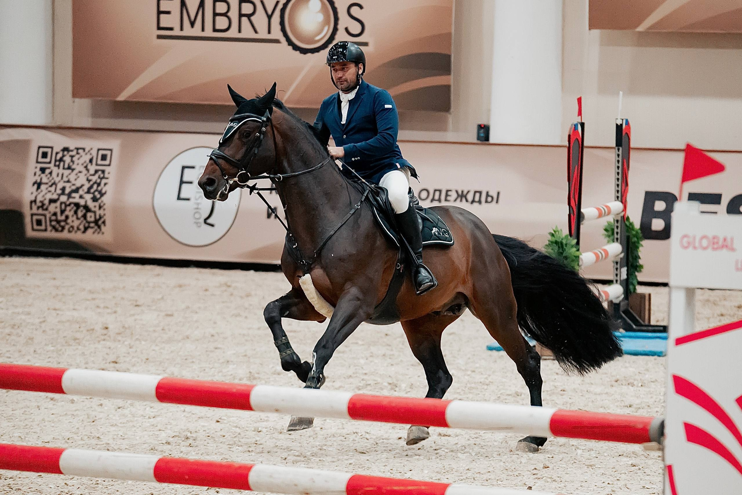 КУБОК ВУЗОВ. ФИНАЛ — КСК «ВИВАТ, РОССИЯ!». Куракина Дарья • Конный фотограф
