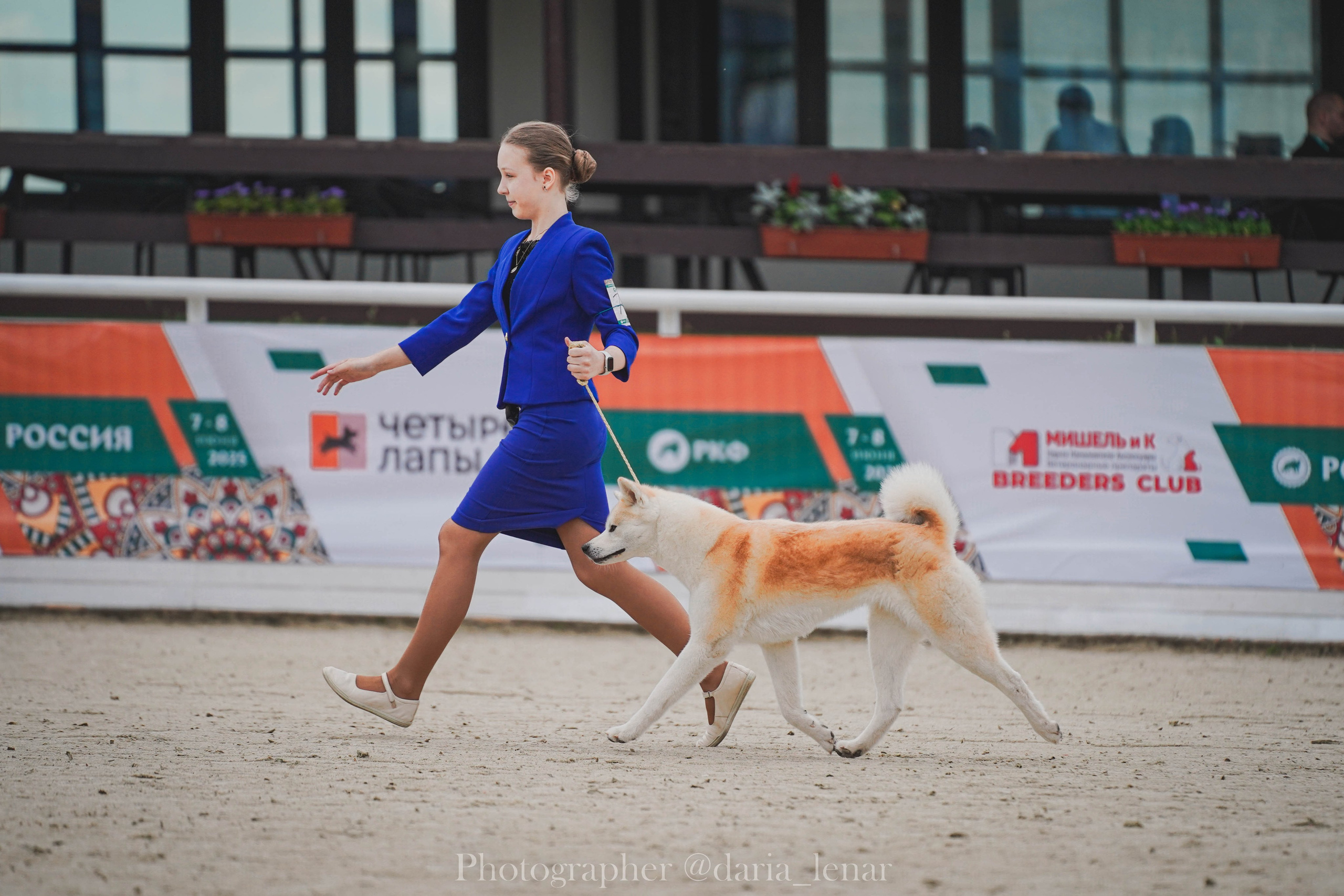 Выставки собак. Фотограф в Москве Ленарская Дарья