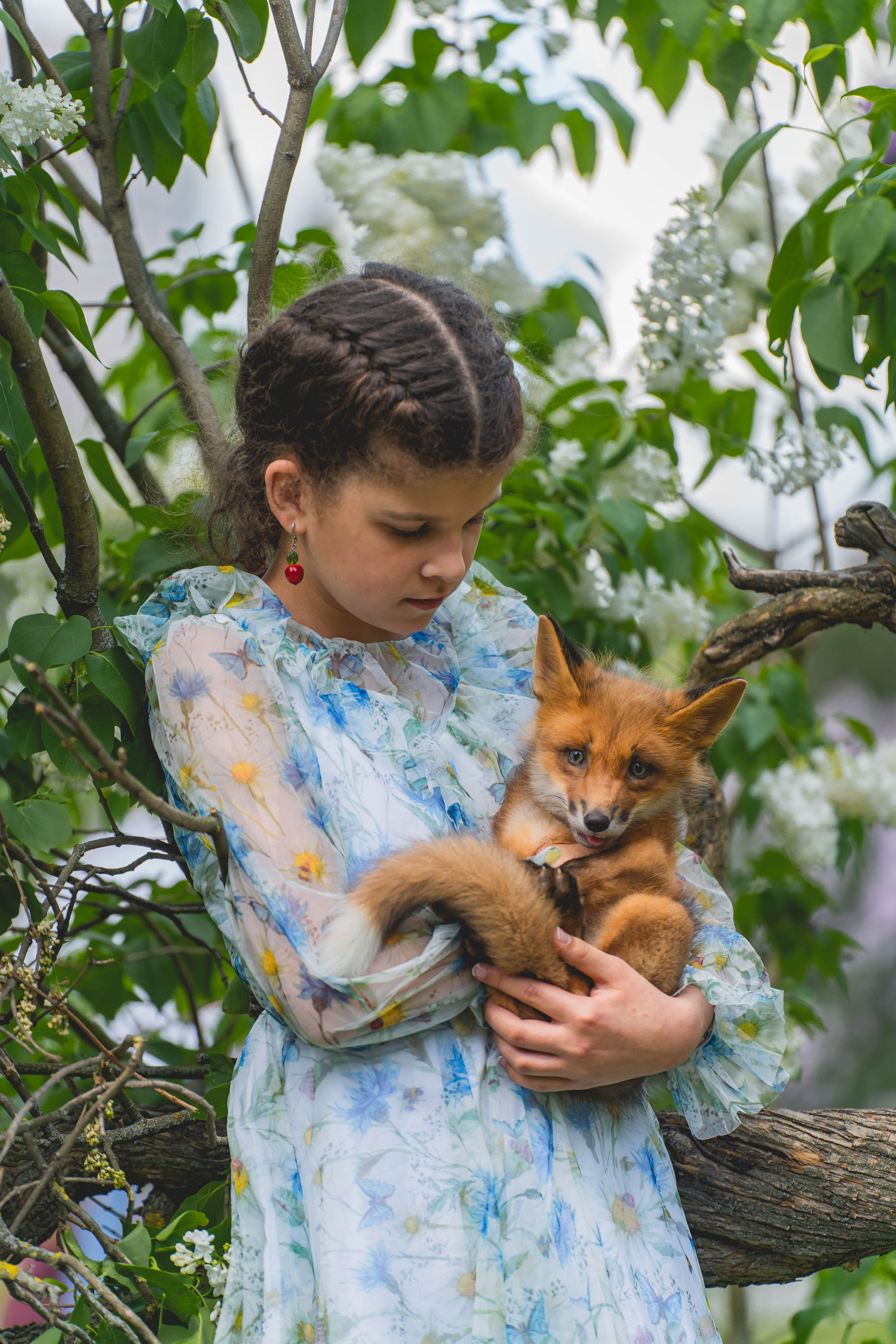 Аля и Данте. Фотограф в Москве Ленарская Дарья