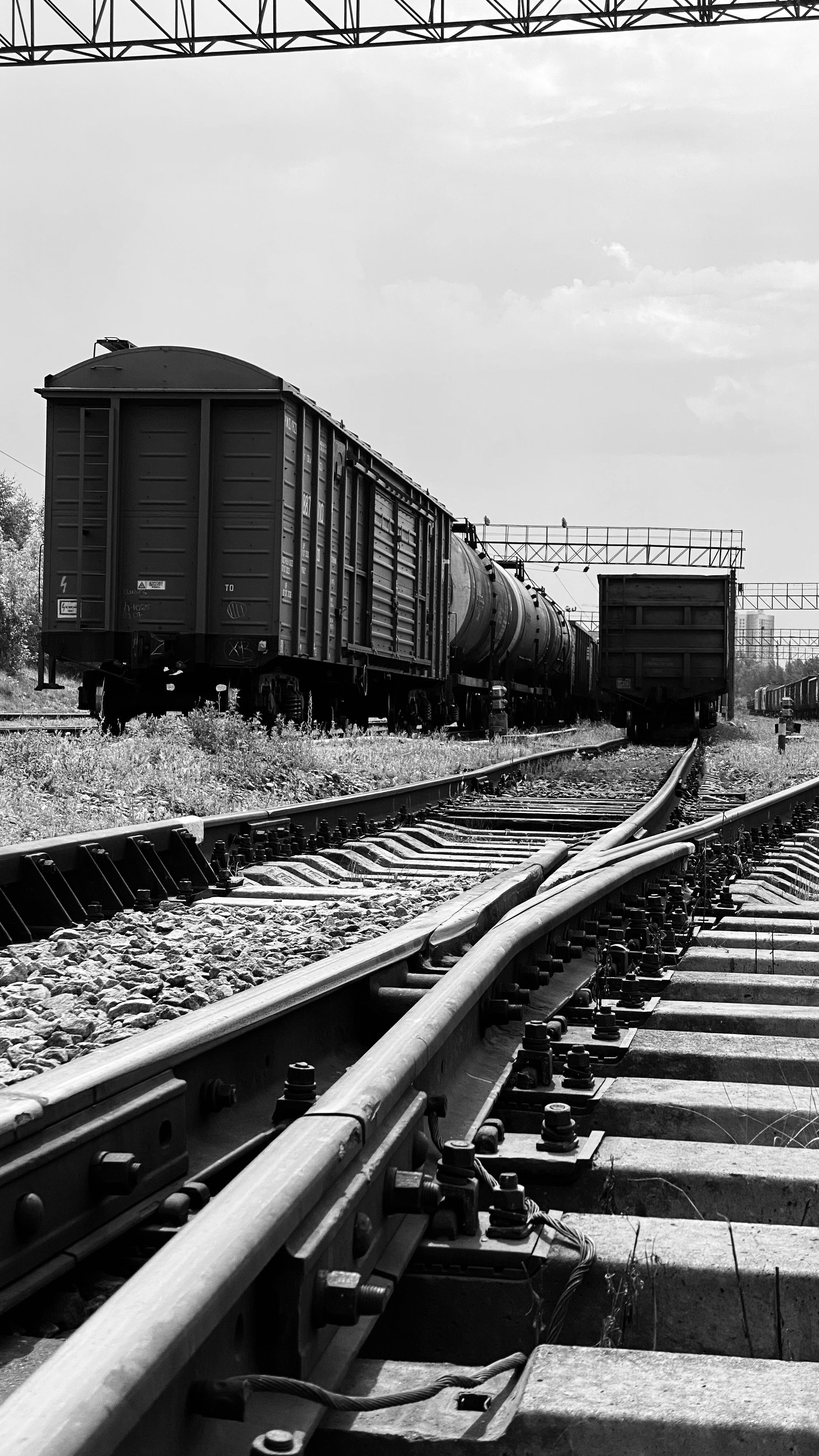 Мобильное фото. Фотограф в Москве Айгуль Евграфова