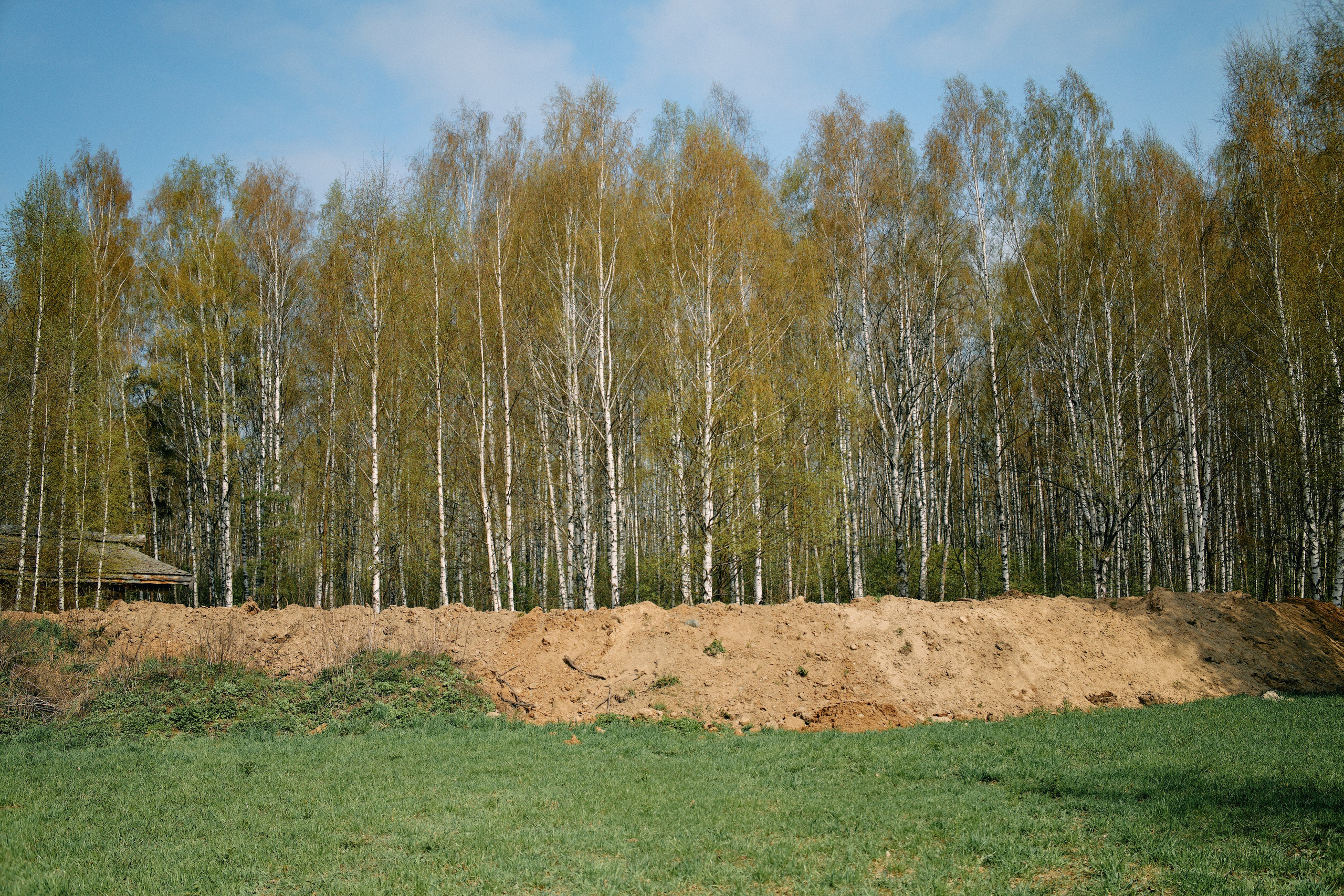 Бутик-отель Поле летом. Профессиональный Фотограф во Владимире, в Москве и в Суздале — Полина Романычева