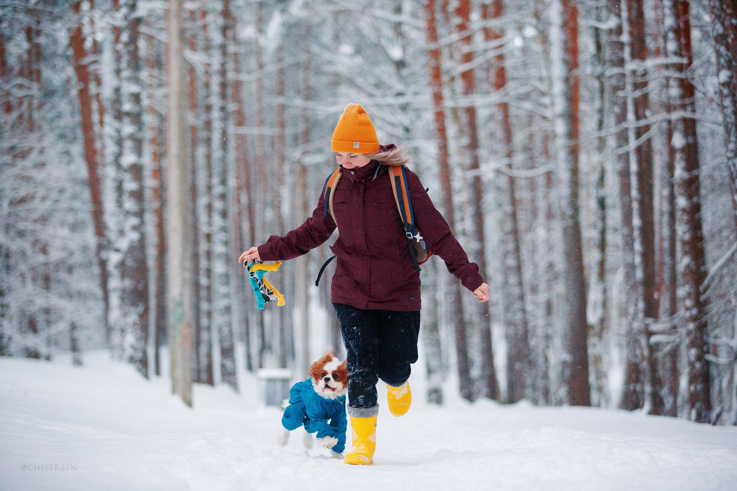 Внезапно апрельская зима. Фотограф-анималист Наталия Чистюхина в г. Сосновый Бор и ЛО