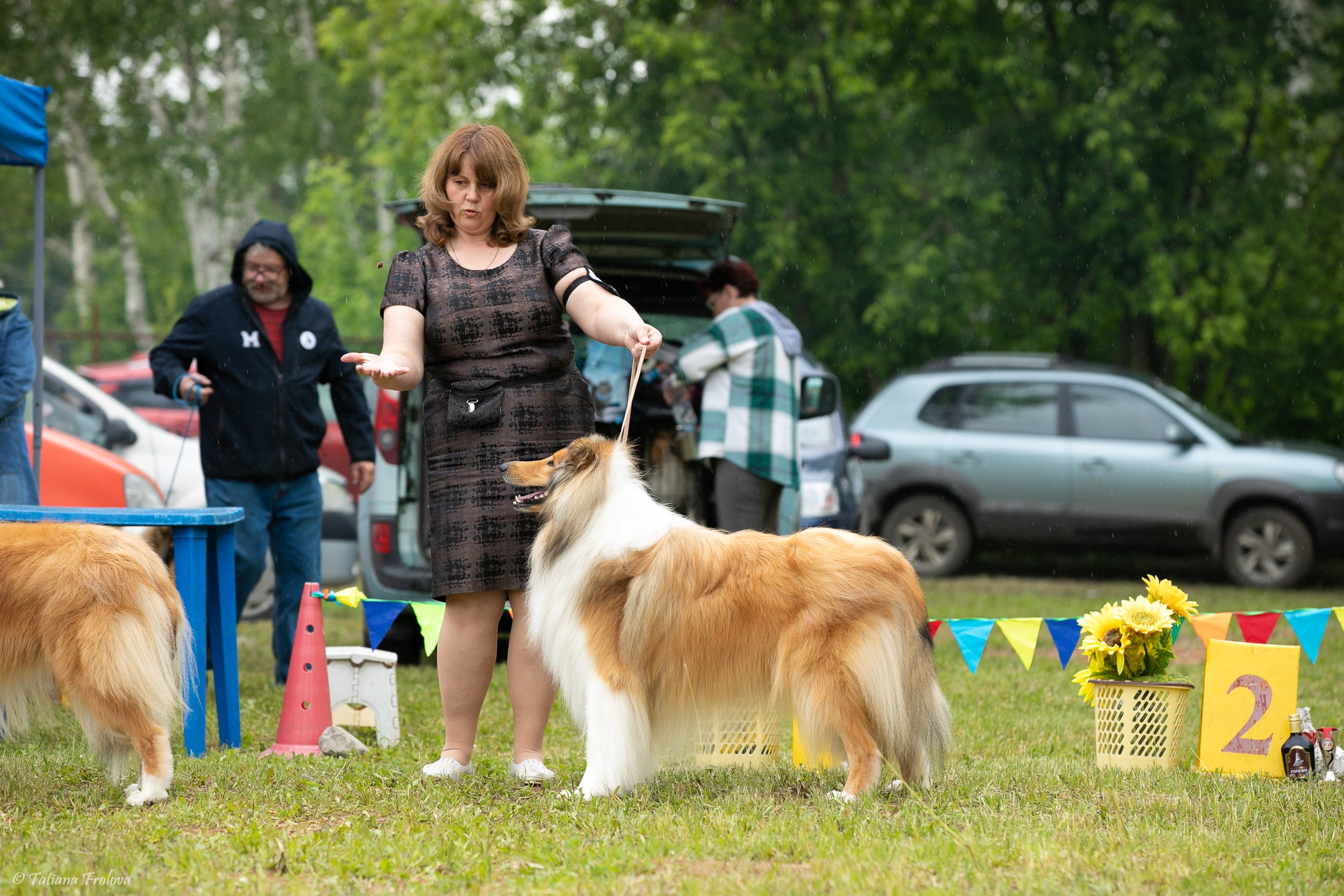 Фотосопровождение выставки собак в Московской области и Москве. Фотограф-анималист в Москве и Московской области Татьяна Фролова