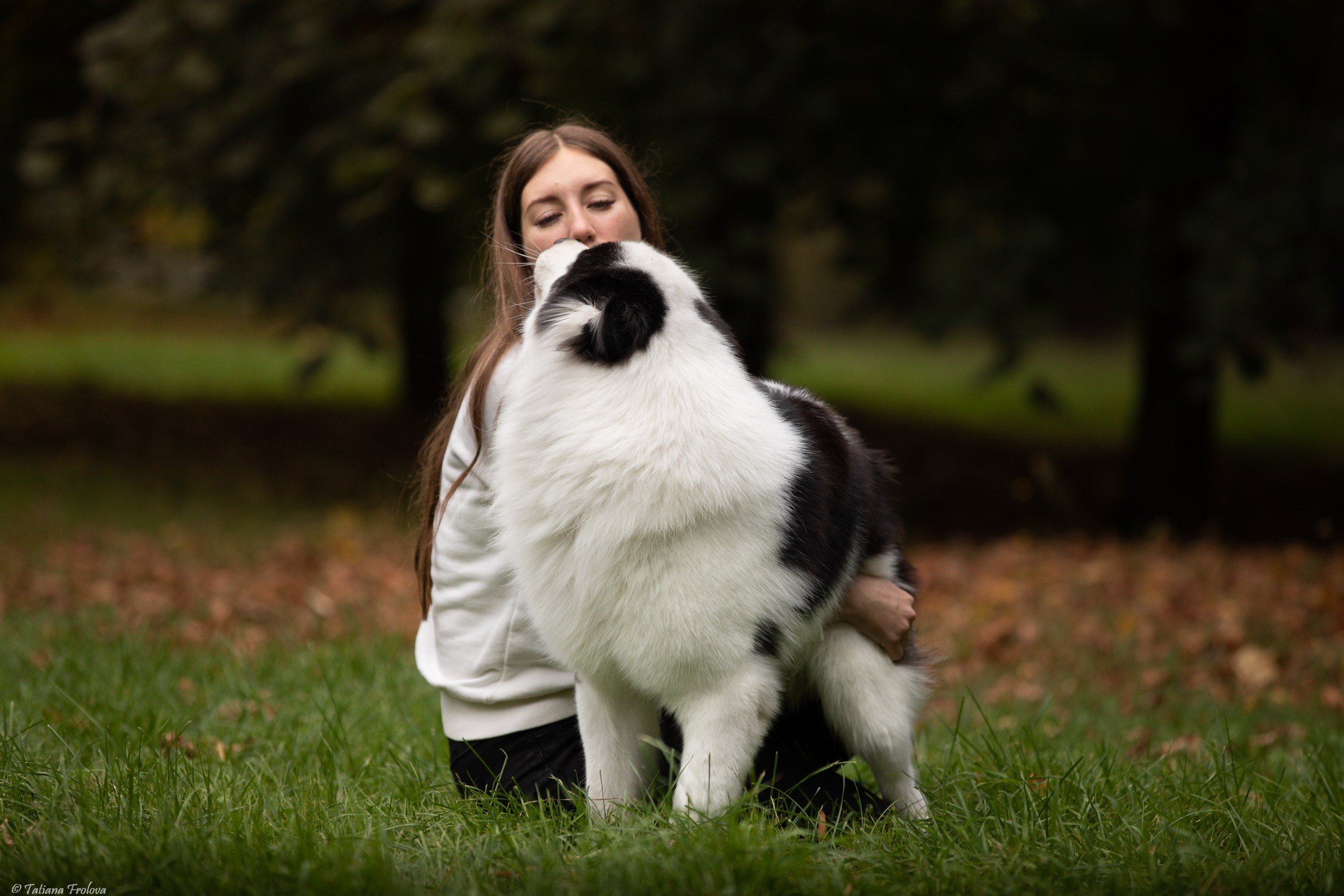 Небольшая фотосессия в Москве после выставки собак. Фотограф-анималист в Москве и Московской области Татьяна Фролова