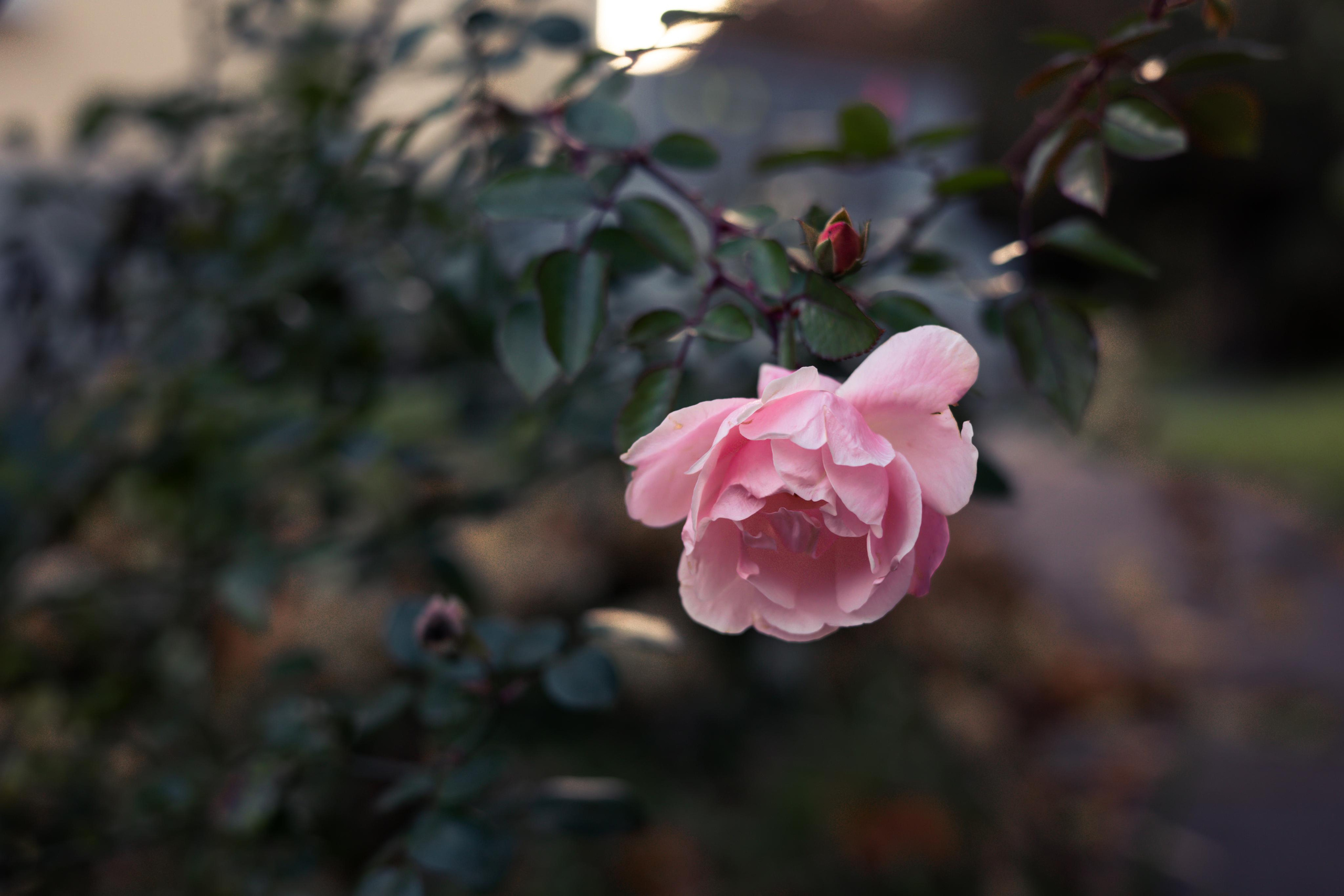 Коллекция пейзажных фотографий. Photographer Sonkina Tatiana (Tanya Ash)