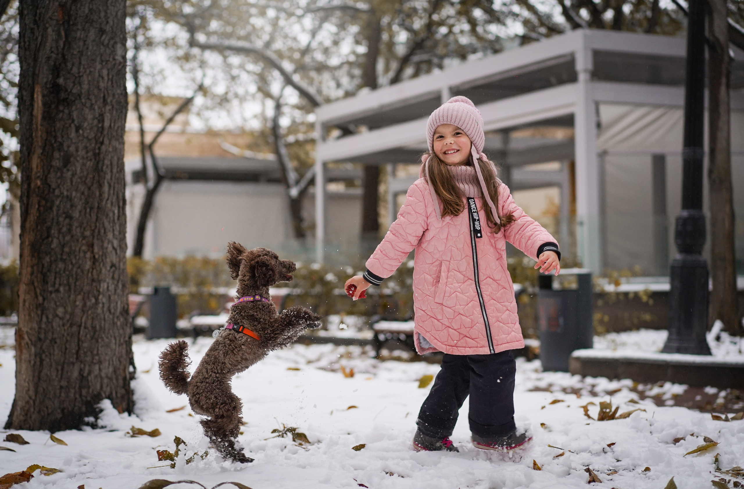 Марина Артем Мия и Хлоя. Фотограф-анималист в Санкт-Петербурге Яна Мартынова