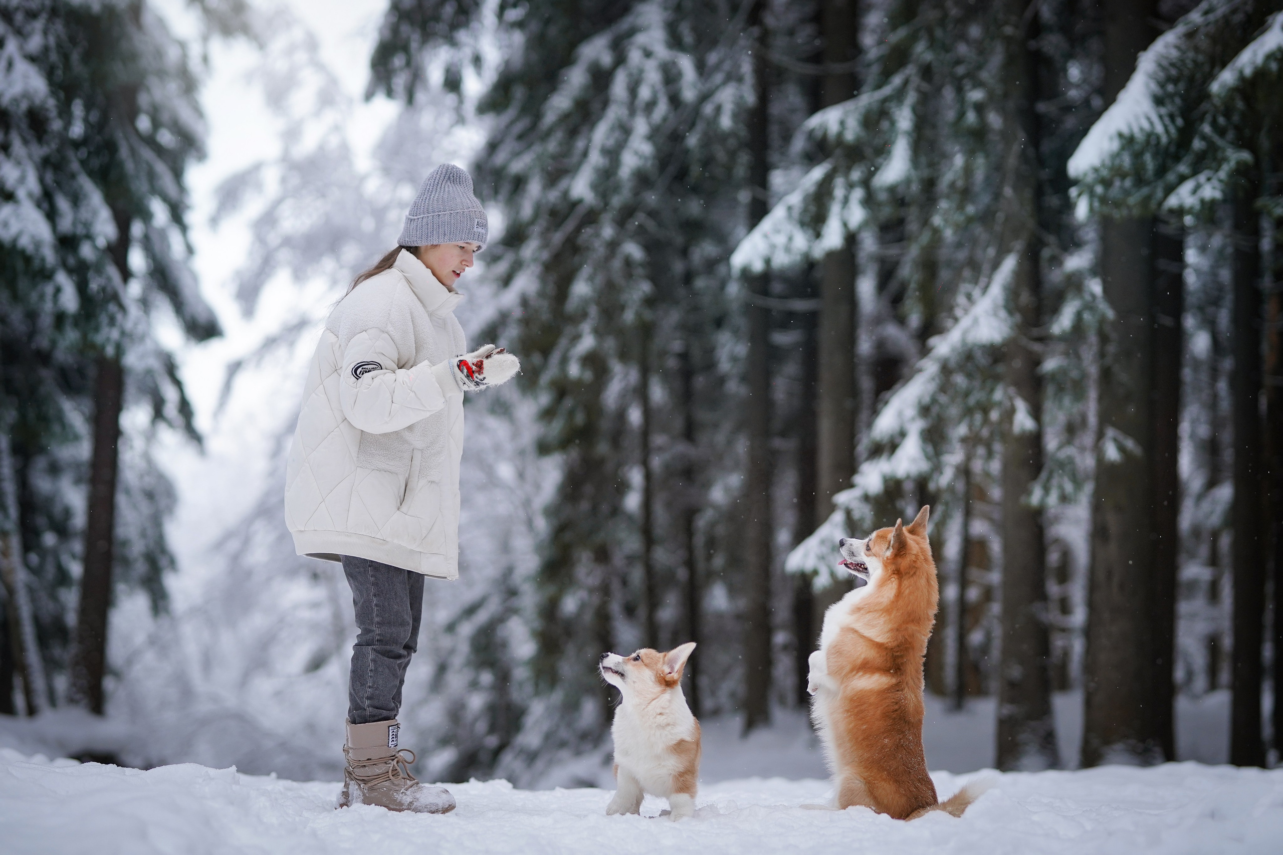 Катя Рокки и Честер. Фотограф-анималист в Санкт-Петербурге Яна Мартынова