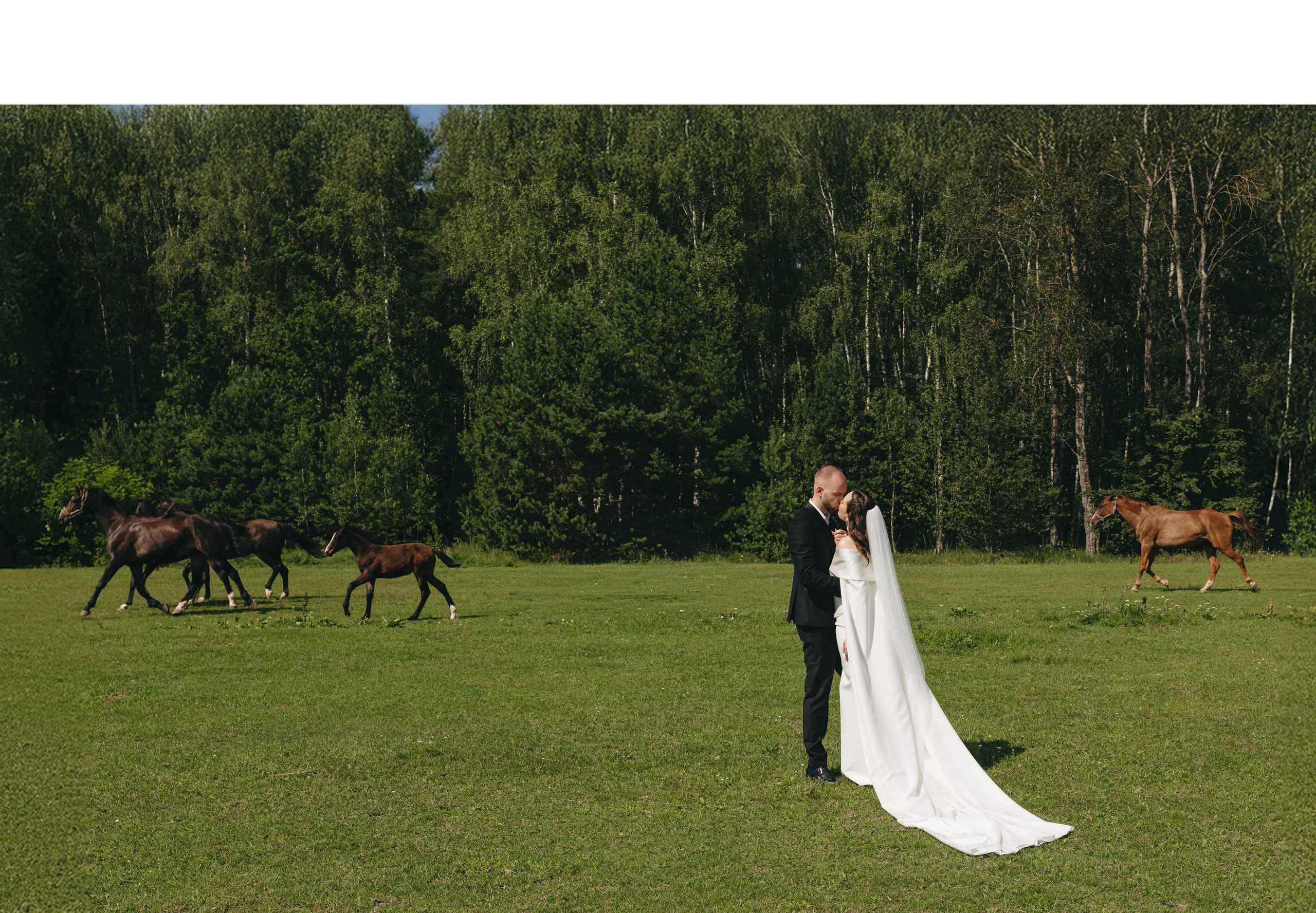 Свадьба Алексея и Александры. Свадебный и репортажный фотограф в Москве Владимир Сергеев | Naysaikolo