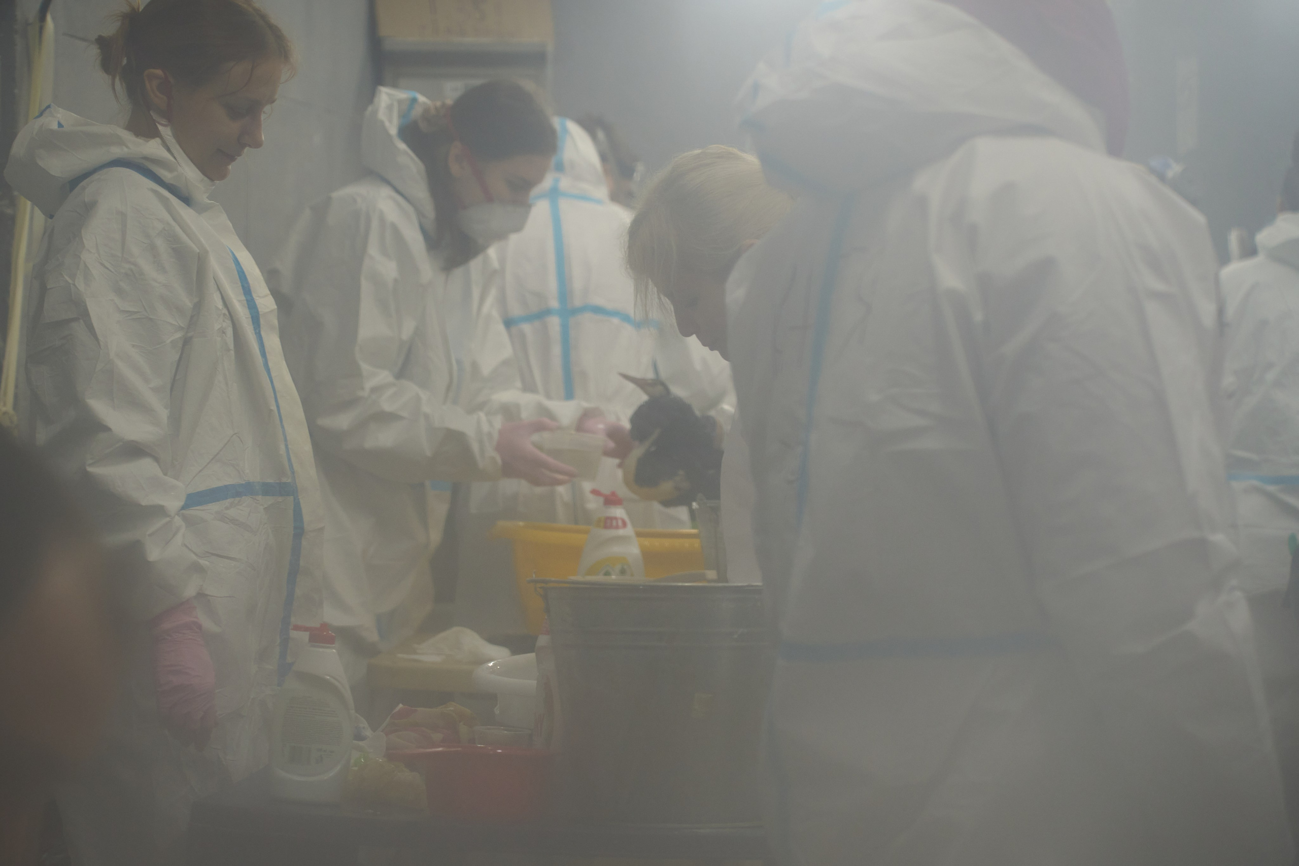 Black Sea. Ksenia Arefieva