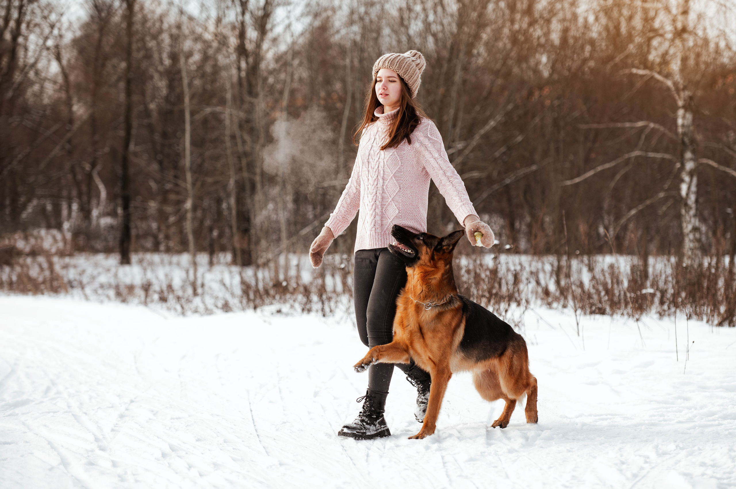 Вольт. Фотограф-анималист