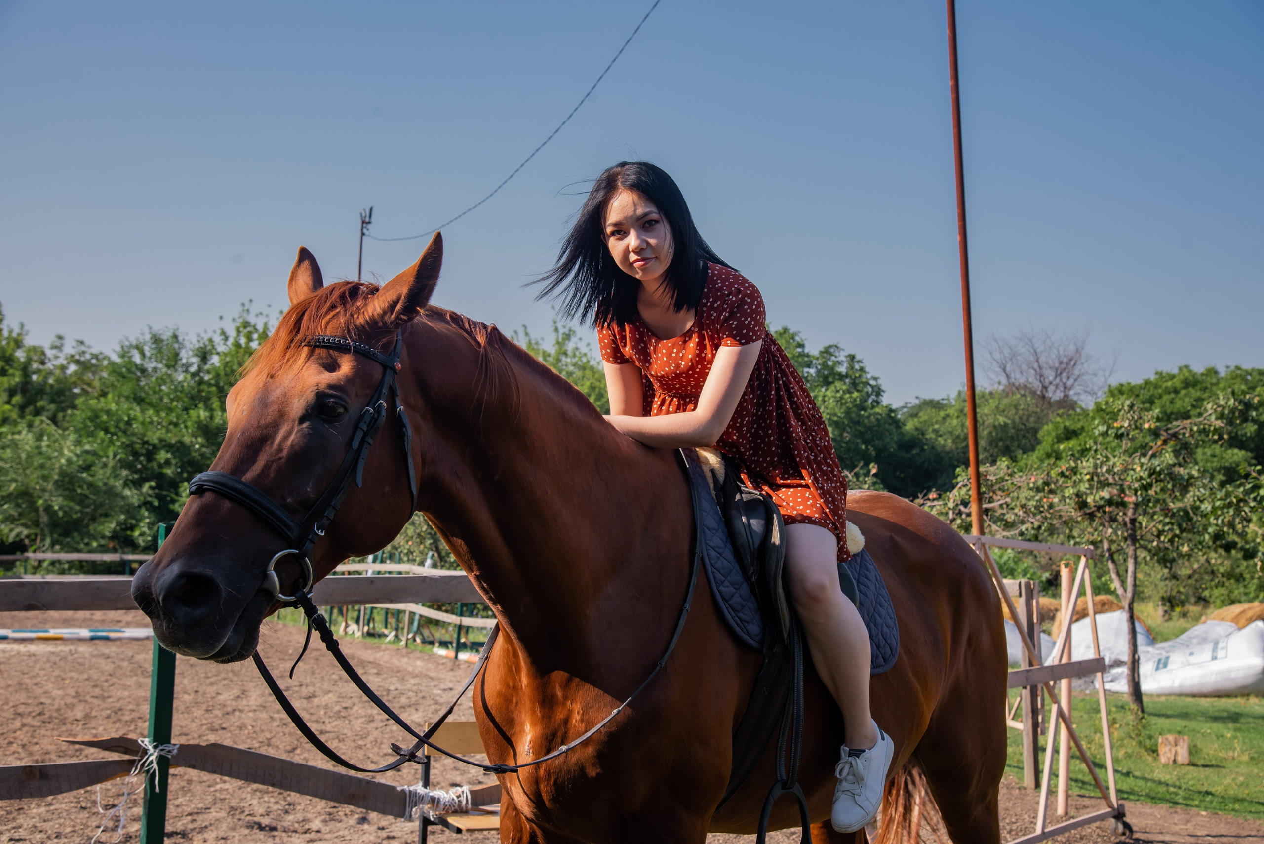 Конная прогулка. Фотограф Галина Нестерова